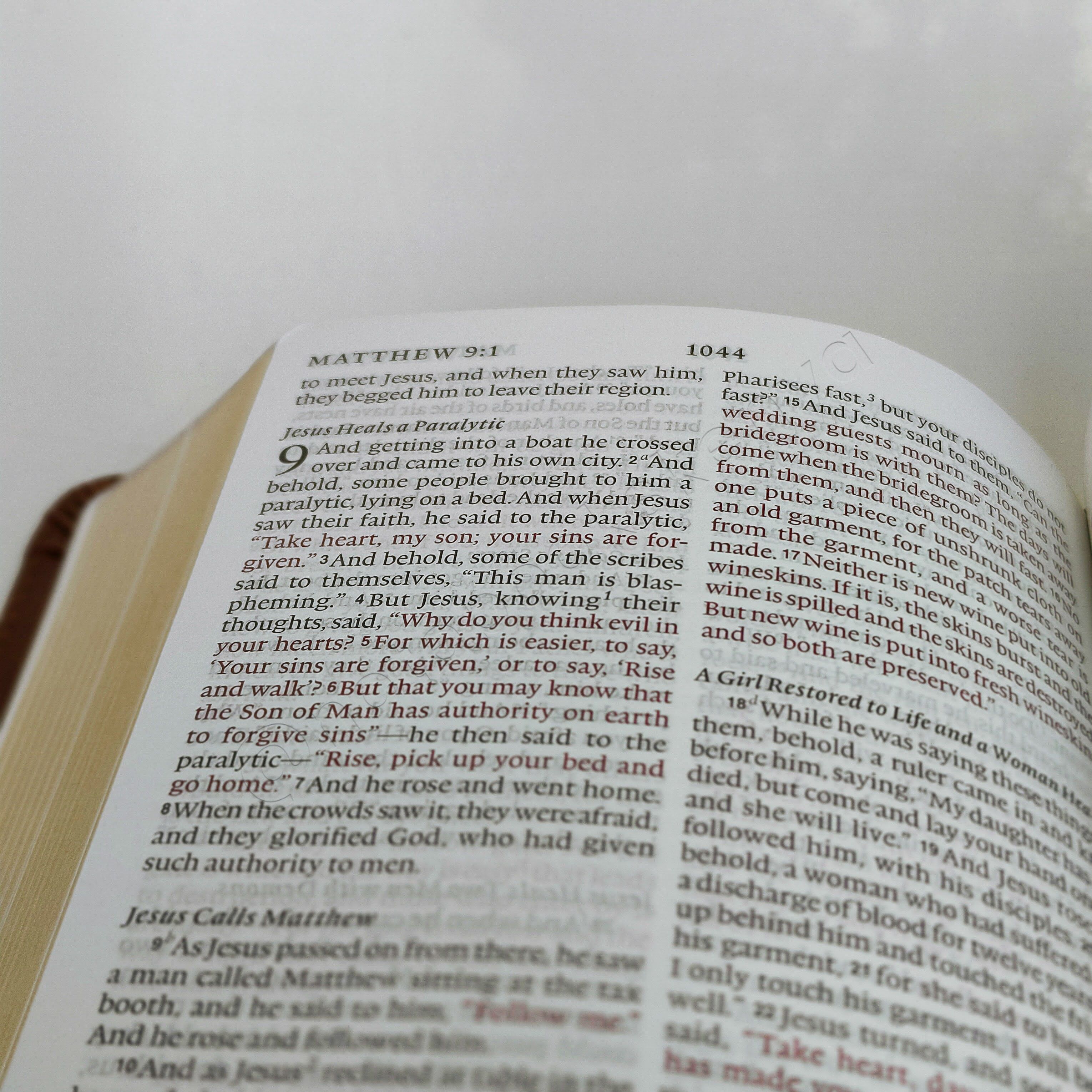 Elegant and Portable | ESV Large Print Compact Bible | Christian Bible ESV | English Standard Version(ESV) | Large Print Bible | Gift | Concordance Bible | Complete ESV text | Thumb Indexed Bible