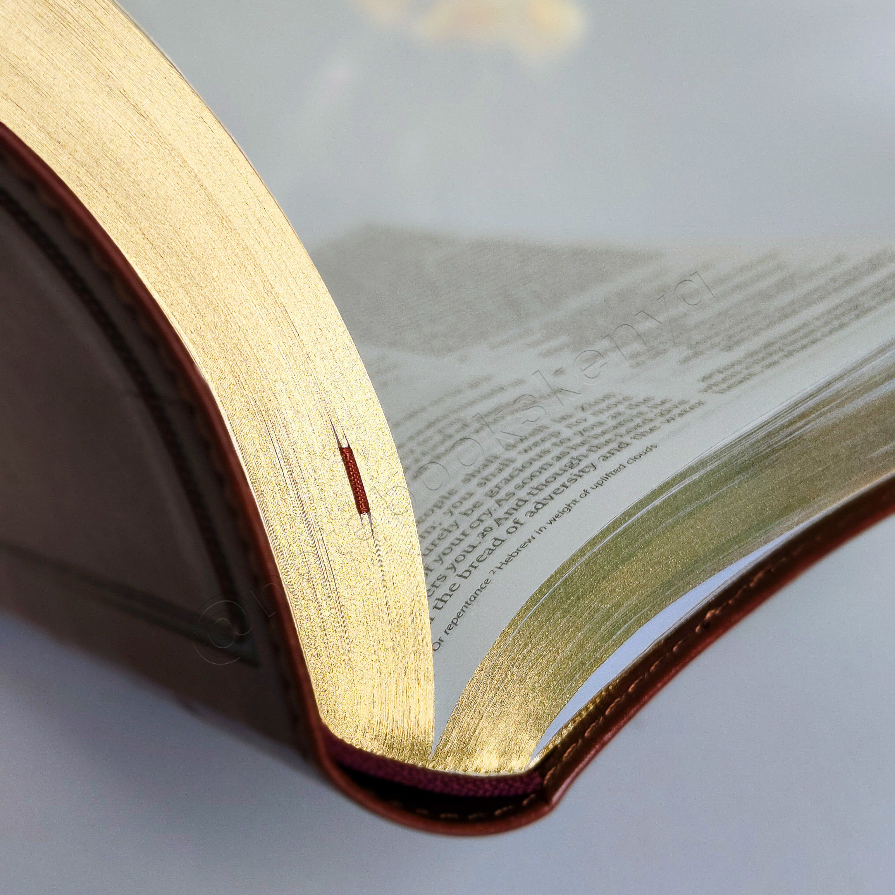 Elegant and Portable | ESV Large Print Compact Bible | Christian Bible ESV | English Standard Version(ESV) | Large Print Bible | Gift | Concordance Bible | Complete ESV text | Thumb Indexed Bible