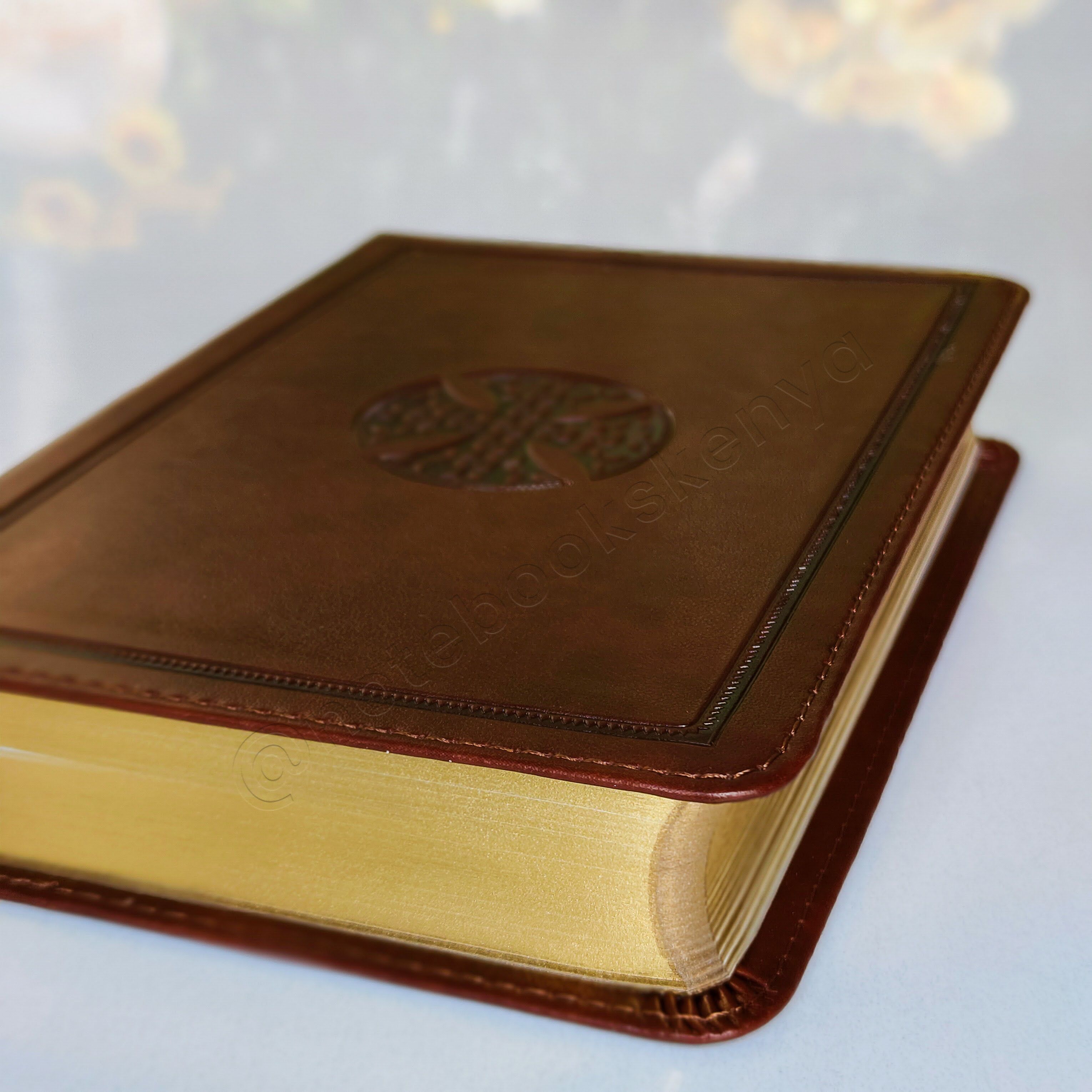 Elegant and Portable | ESV Large Print Compact Bible | Christian Bible ESV | English Standard Version(ESV) | Large Print Bible | Gift | Concordance Bible | Complete ESV text | Thumb Indexed Bible