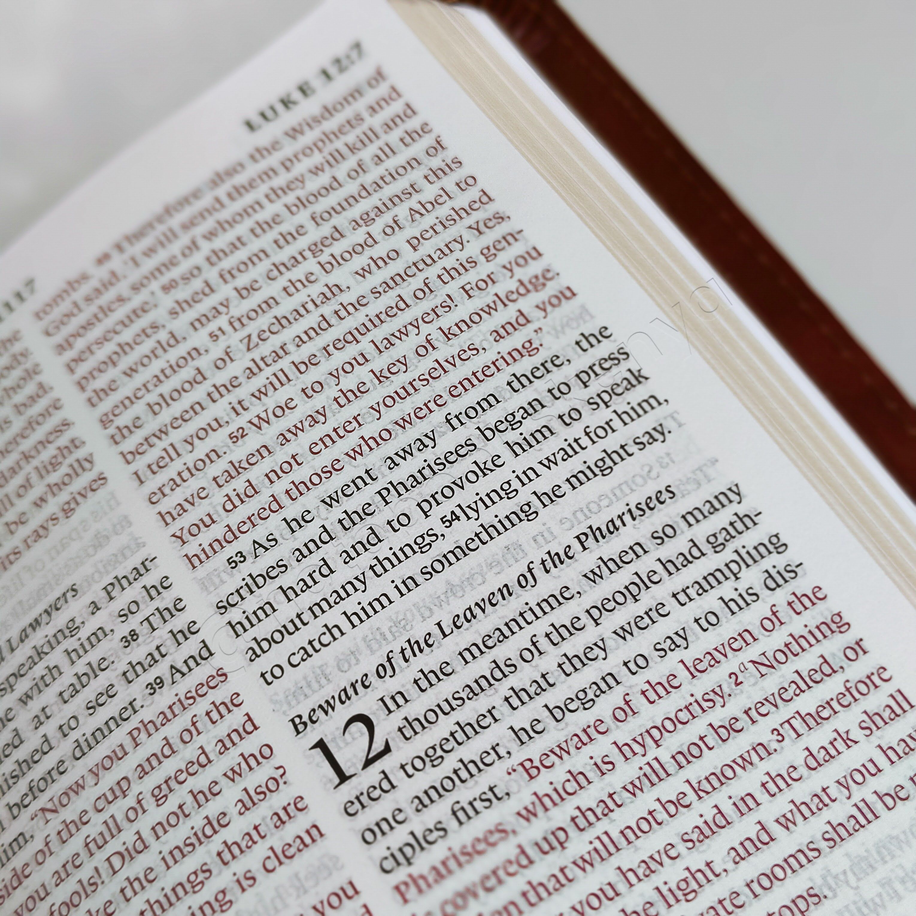 Elegant and Portable | ESV Large Print Compact Bible | Christian Bible ESV | English Standard Version(ESV) | Large Print Bible | Gift | Concordance Bible | Complete ESV text | Thumb Indexed Bible