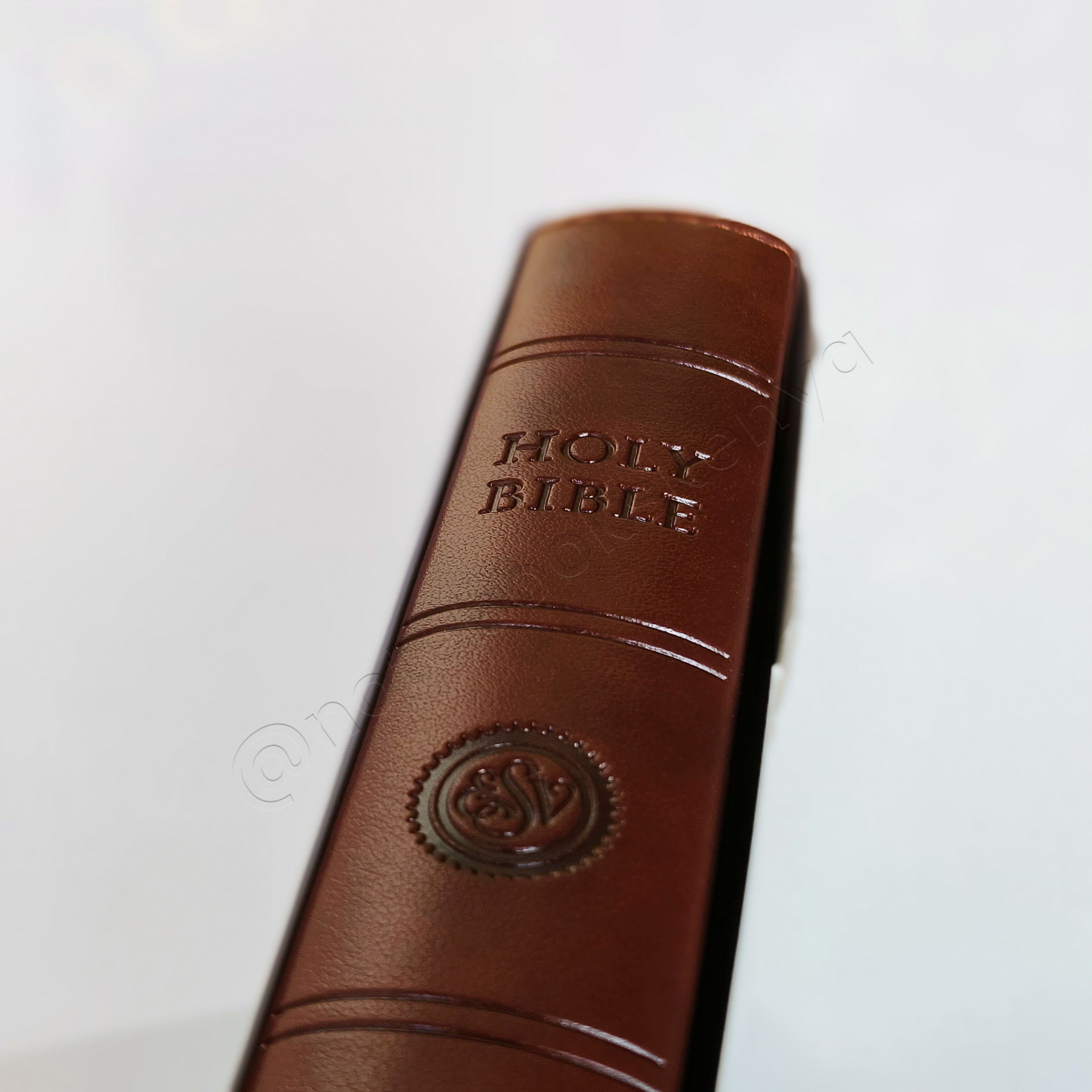 Elegant and Portable | ESV Large Print Compact Bible | Christian Bible ESV | English Standard Version(ESV) | Large Print Bible | Gift | Concordance Bible | Complete ESV text | Thumb Indexed Bible