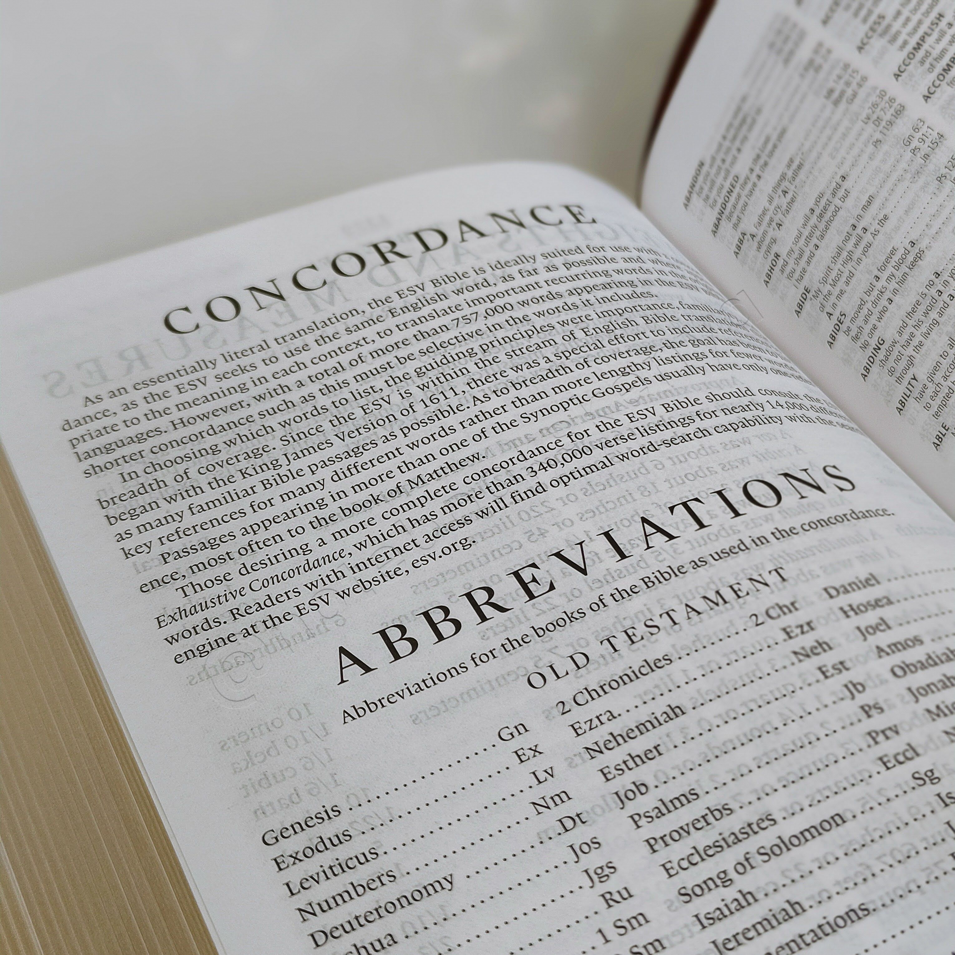 Elegant and Portable | ESV Large Print Compact Bible | Christian Bible ESV | English Standard Version(ESV) | Large Print Bible | Gift | Concordance Bible | Complete ESV text | Thumb Indexed Bible