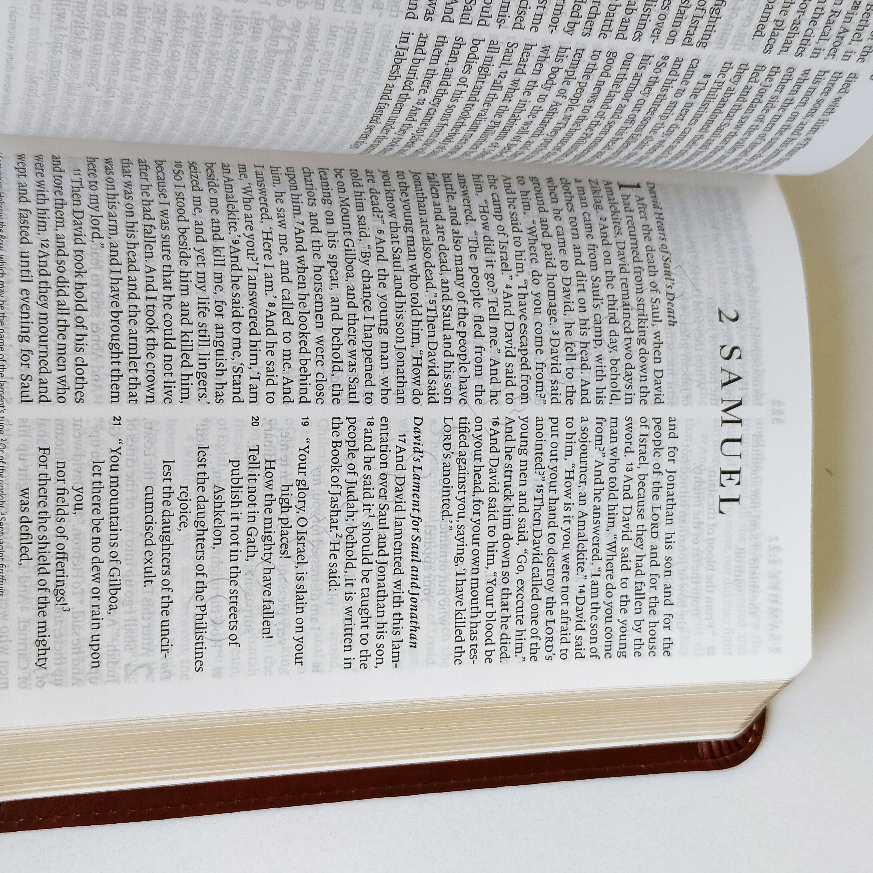 Elegant and Portable | ESV Large Print Compact Bible | Christian Bible ESV | English Standard Version(ESV) | Large Print Bible | Gift | Concordance Bible | Complete ESV text | Thumb Indexed Bible