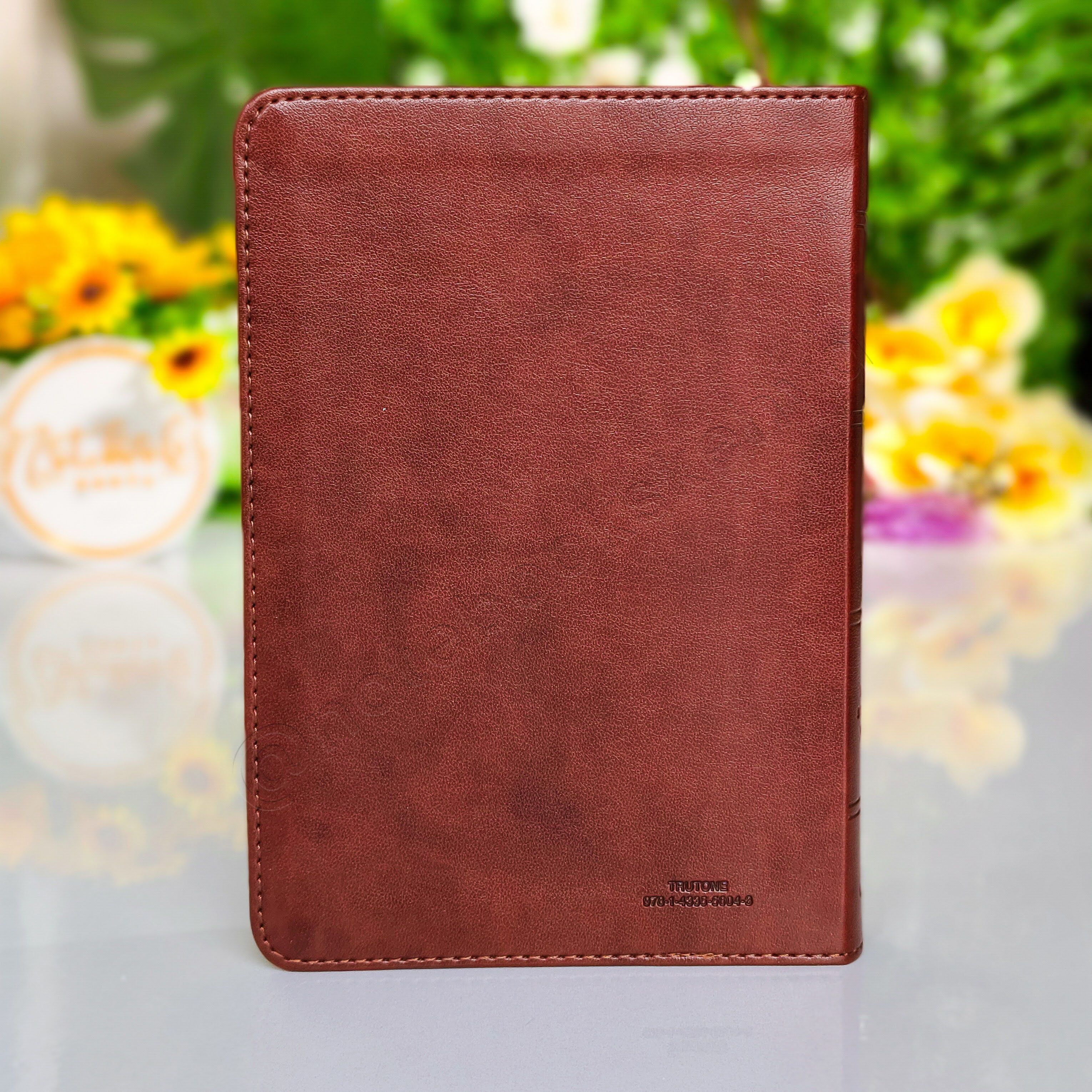 Elegant and Portable | ESV Large Print Compact Bible | Christian Bible ESV | English Standard Version(ESV) | Large Print Bible | Gift | Concordance Bible | Complete ESV text | Thumb Indexed Bible