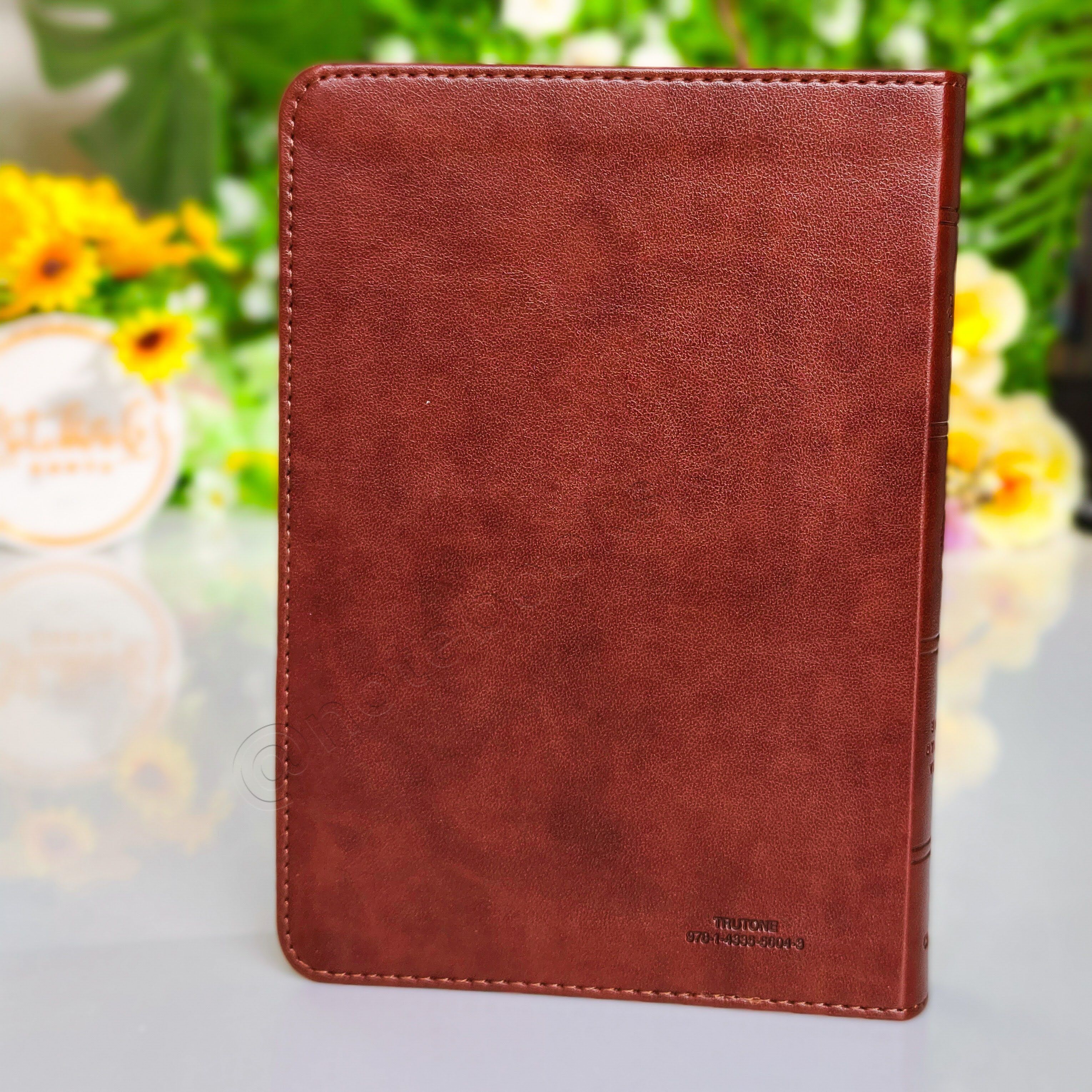 Elegant and Portable | ESV Large Print Compact Bible | Christian Bible ESV | English Standard Version(ESV) | Large Print Bible | Gift | Concordance Bible | Complete ESV text | Thumb Indexed Bible