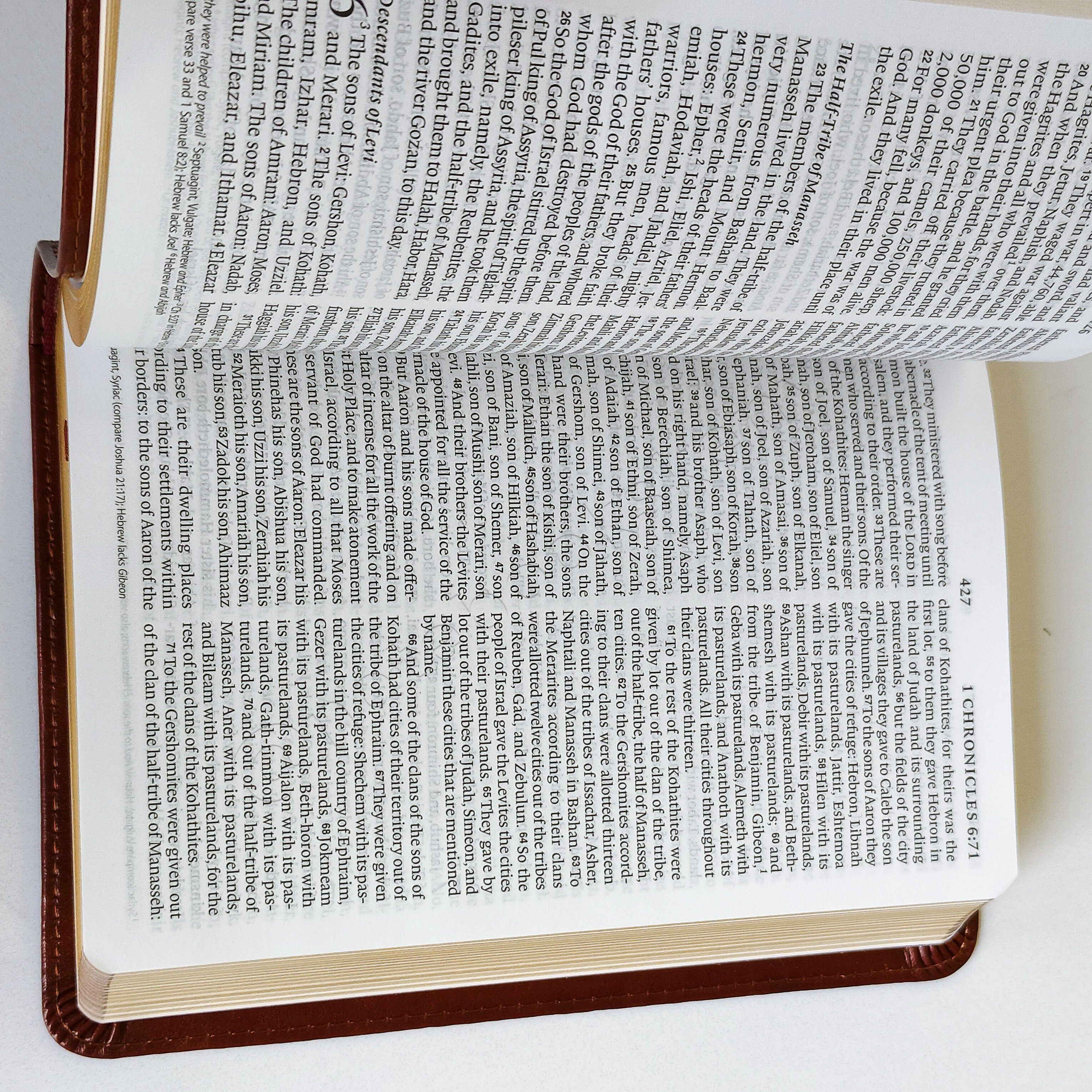 Elegant and Portable | ESV Large Print Compact Bible | Christian Bible ESV | English Standard Version(ESV) | Large Print Bible | Gift | Concordance Bible | Complete ESV text | Thumb Indexed Bible