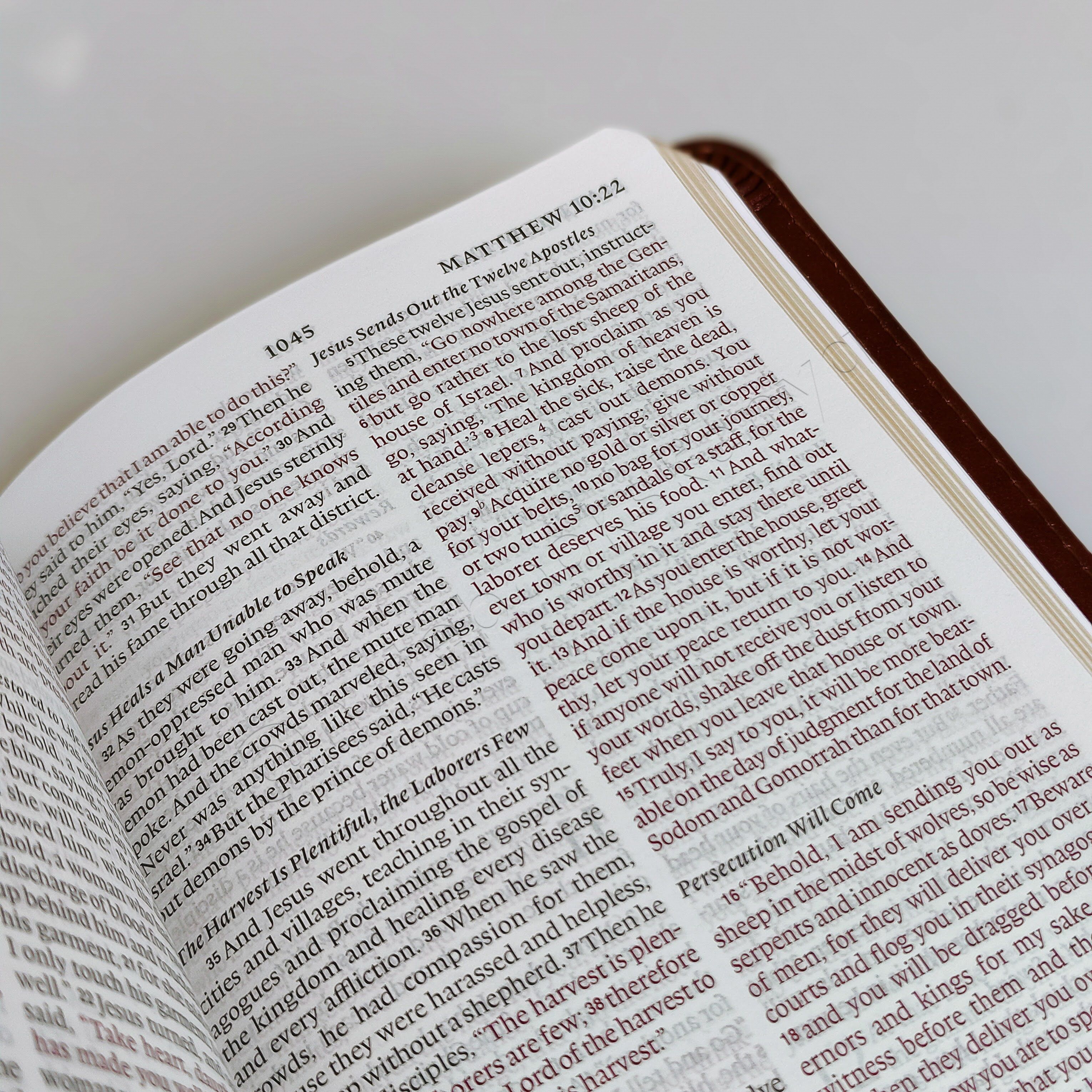 Elegant and Portable | ESV Large Print Compact Bible | Christian Bible ESV | English Standard Version(ESV) | Large Print Bible | Gift | Concordance Bible | Complete ESV text | Thumb Indexed Bible
