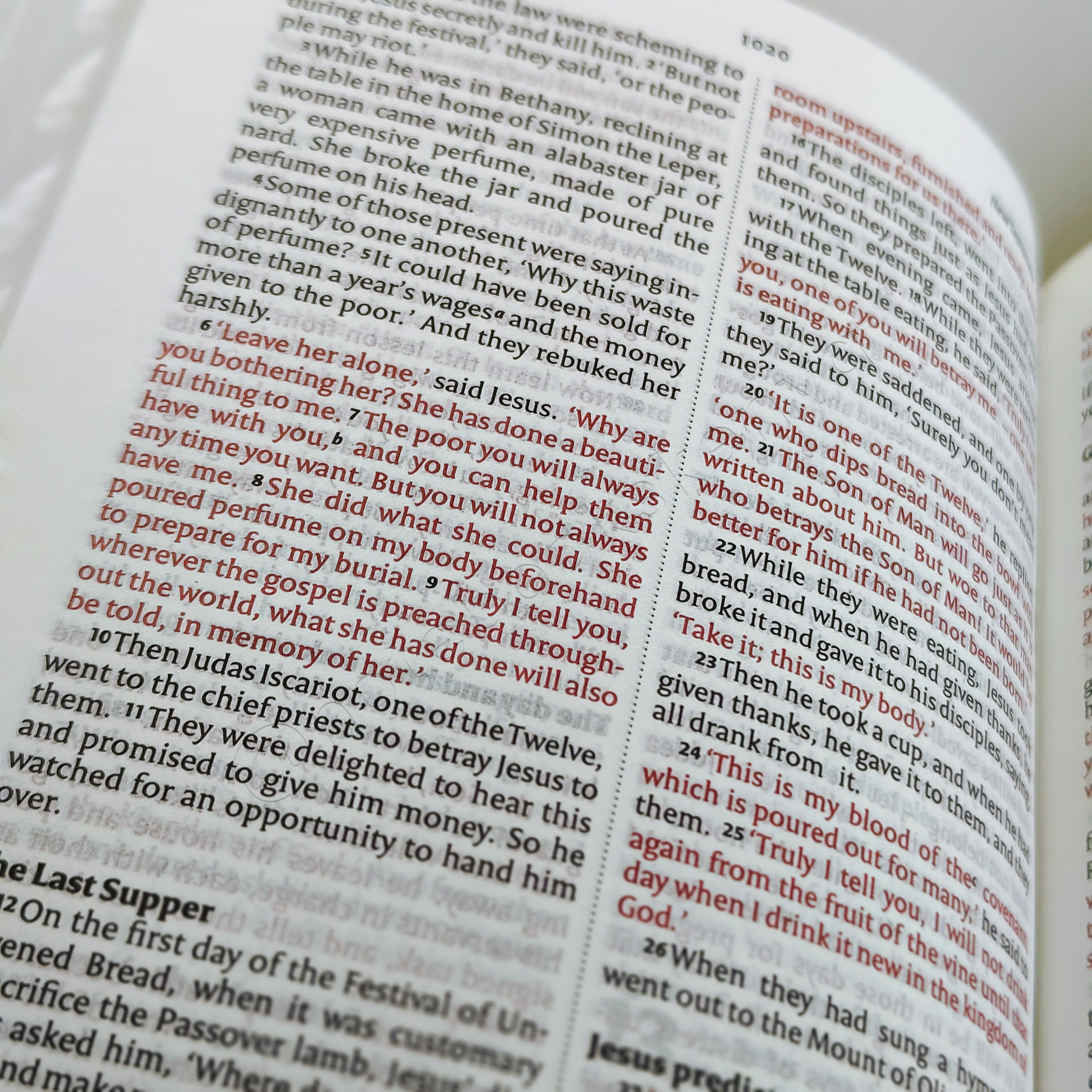 Elegant and Portable | NIV Pocket Bible with Index Tabs– PU Leather | Christian Bible NIV | New International Version(NIV) | Gift | Concordance Bible | Thumb Indexed Bible | Small Bible | Words In Red