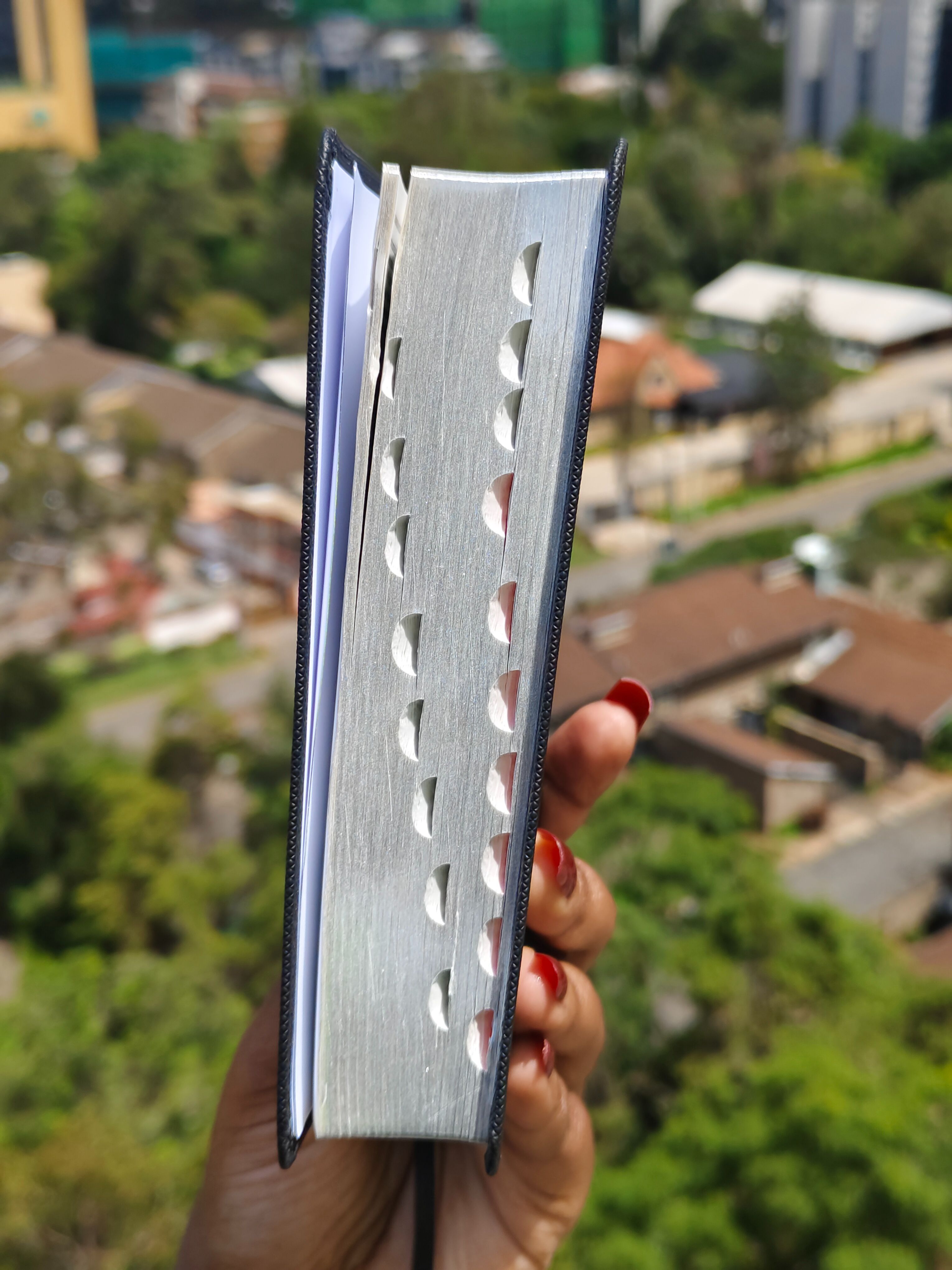 Elegant and Portable | NIV Pocket Bible with Index Tabs– PU Leather | Christian Bible NIV | New International Version(NIV) | Gift | Concordance Bible | Thumb Indexed Bible | Small Bible | Words In Red