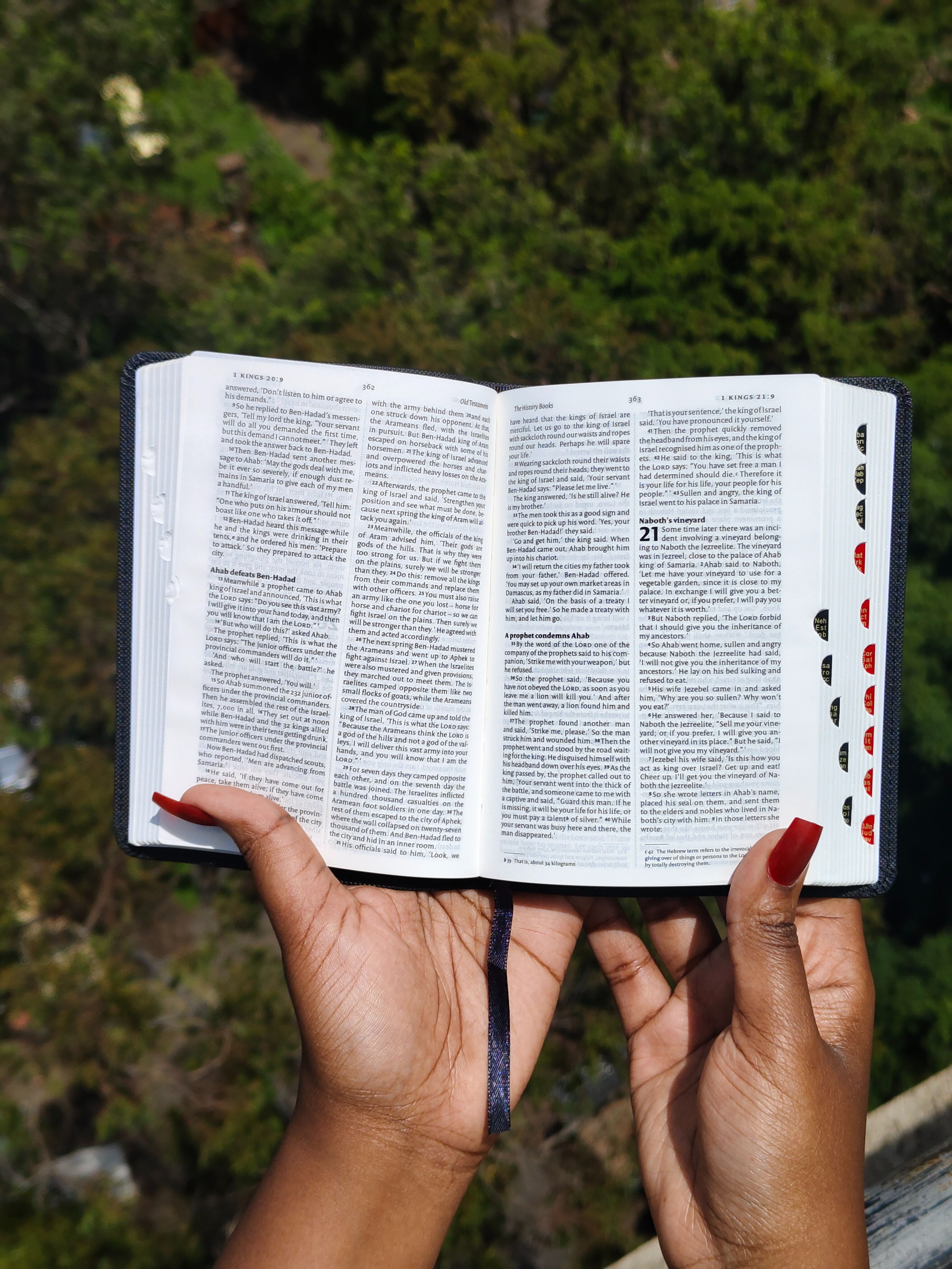 Elegant and Portable | NIV Pocket Bible with Index Tabs– PU Leather | Christian Bible NIV | New International Version(NIV) | Gift | Concordance Bible | Thumb Indexed Bible | Small Bible | Words In Red