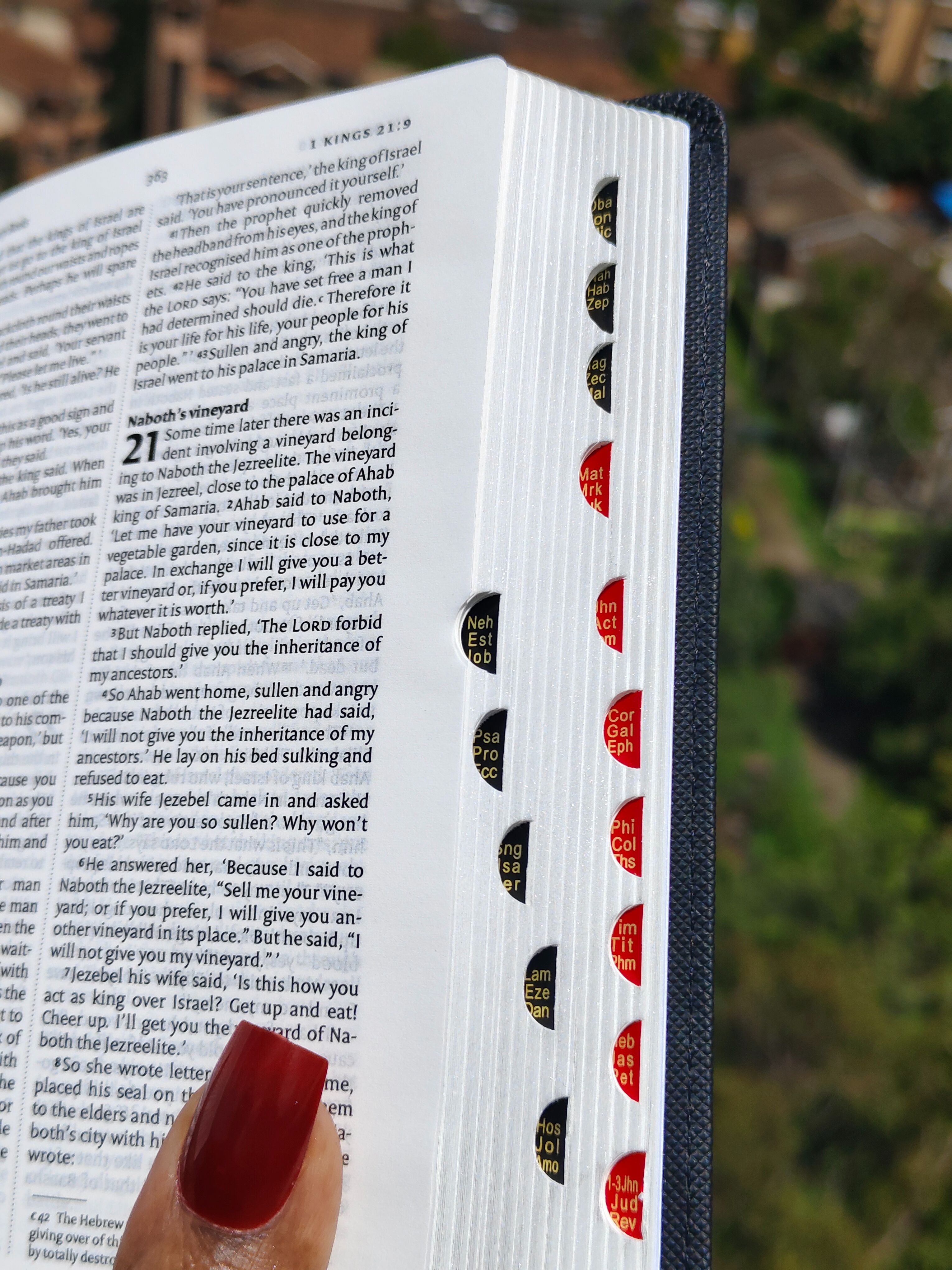 Elegant and Portable | NIV Pocket Bible with Index Tabs– PU Leather | Christian Bible NIV | New International Version(NIV) | Gift | Concordance Bible | Thumb Indexed Bible | Small Bible | Words In Red