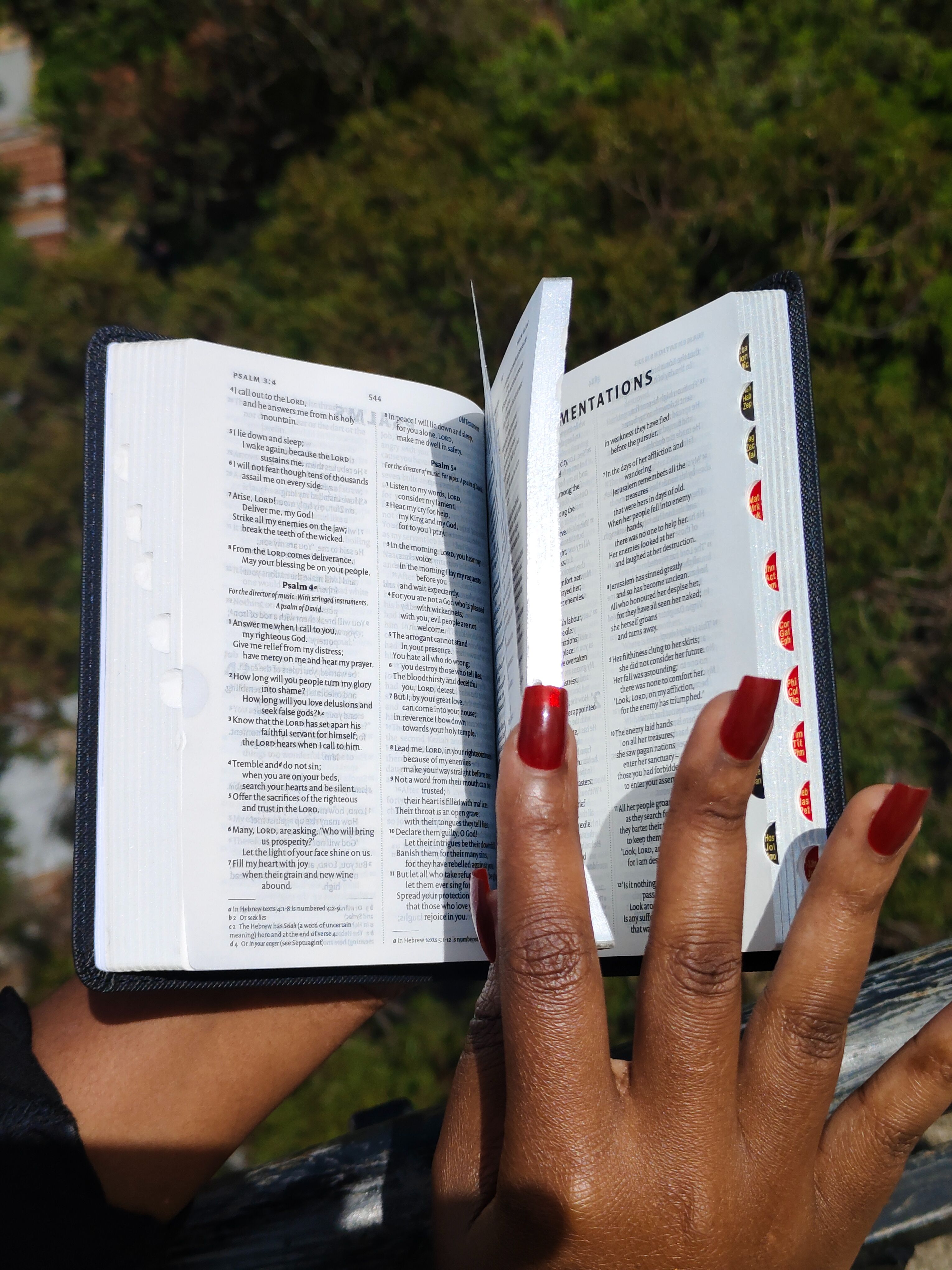 Elegant and Portable | NIV Pocket Bible with Index Tabs– PU Leather | Christian Bible NIV | New International Version(NIV) | Gift | Concordance Bible | Thumb Indexed Bible | Small Bible | Words In Red