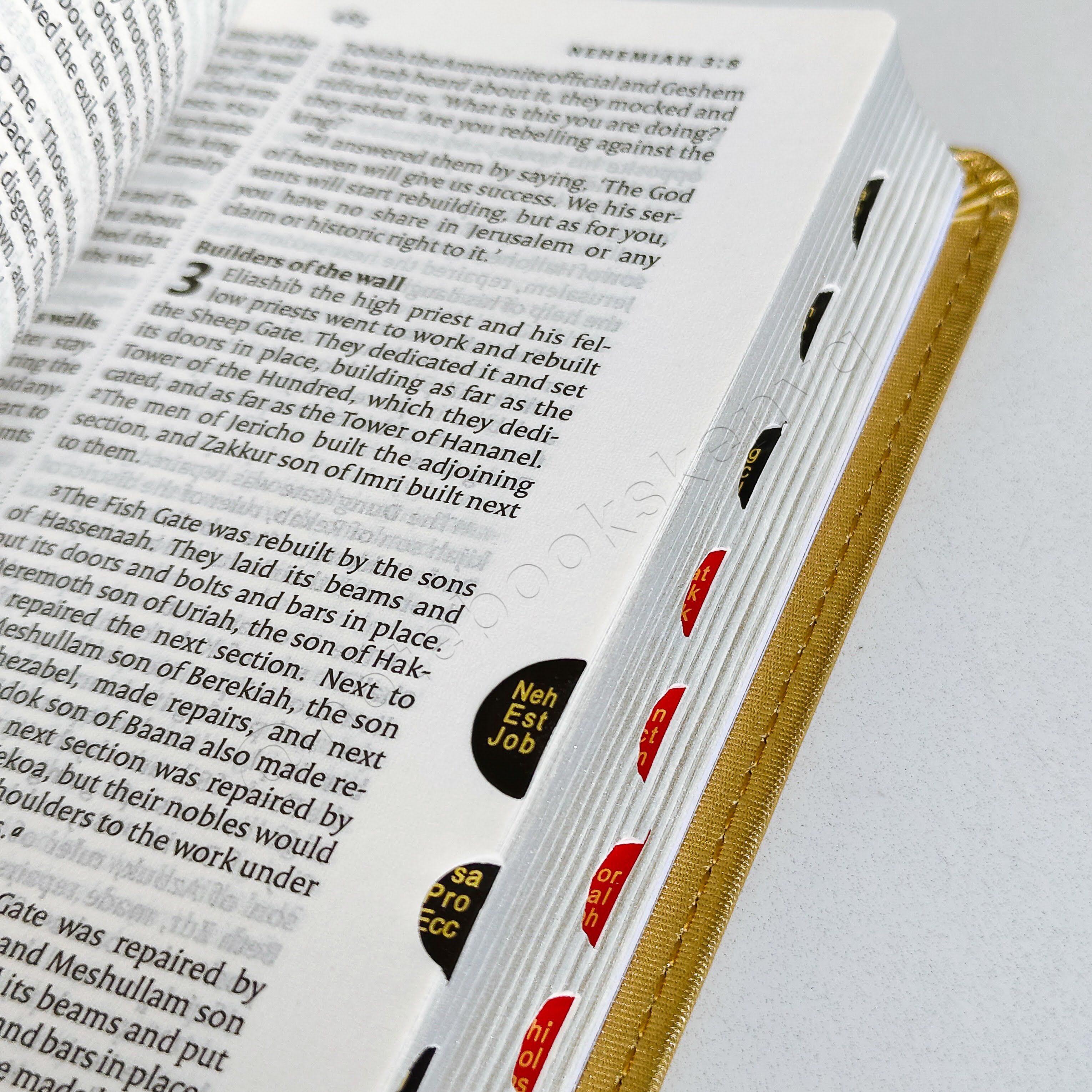 Elegant and Portable | NIV Pocket Bible with Index Tabs– PU Leather | Christian Bible NIV | New International Version(NIV) | Gift | Concordance Bible | Thumb Indexed Bible | Small Bible | Words In Red