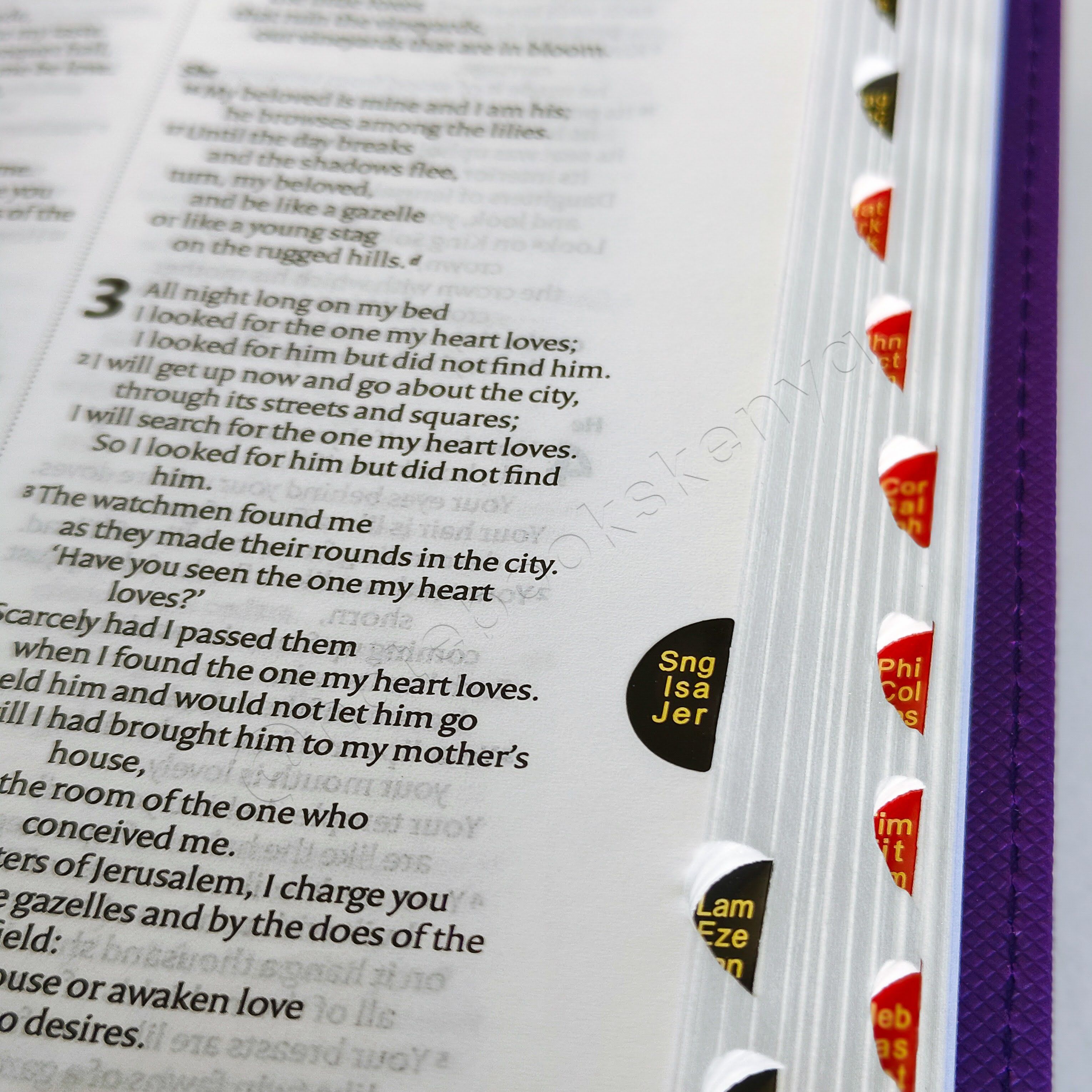 Elegant and Portable | NIV Pocket Bible with Index Tabs– PU Leather | Christian Bible NIV | New International Version(NIV) | Gift | Concordance Bible | Thumb Indexed Bible | Small Bible | Words In Red