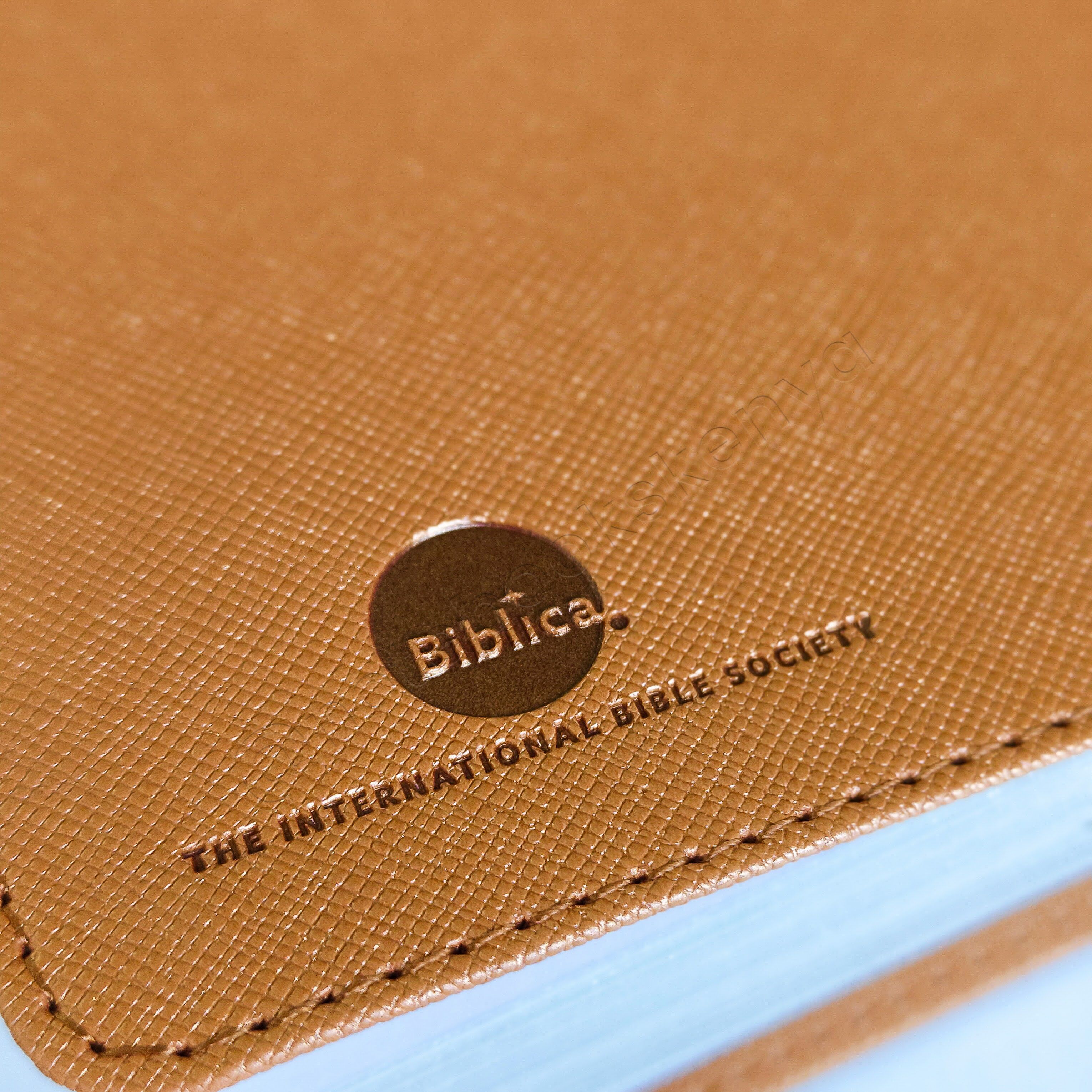 Elegant and Portable | NIV Pocket Bible with Index Tabs– PU Leather | Christian Bible NIV | New International Version(NIV) | Gift | Concordance Bible | Thumb Indexed Bible | Small Bible | Words In Red