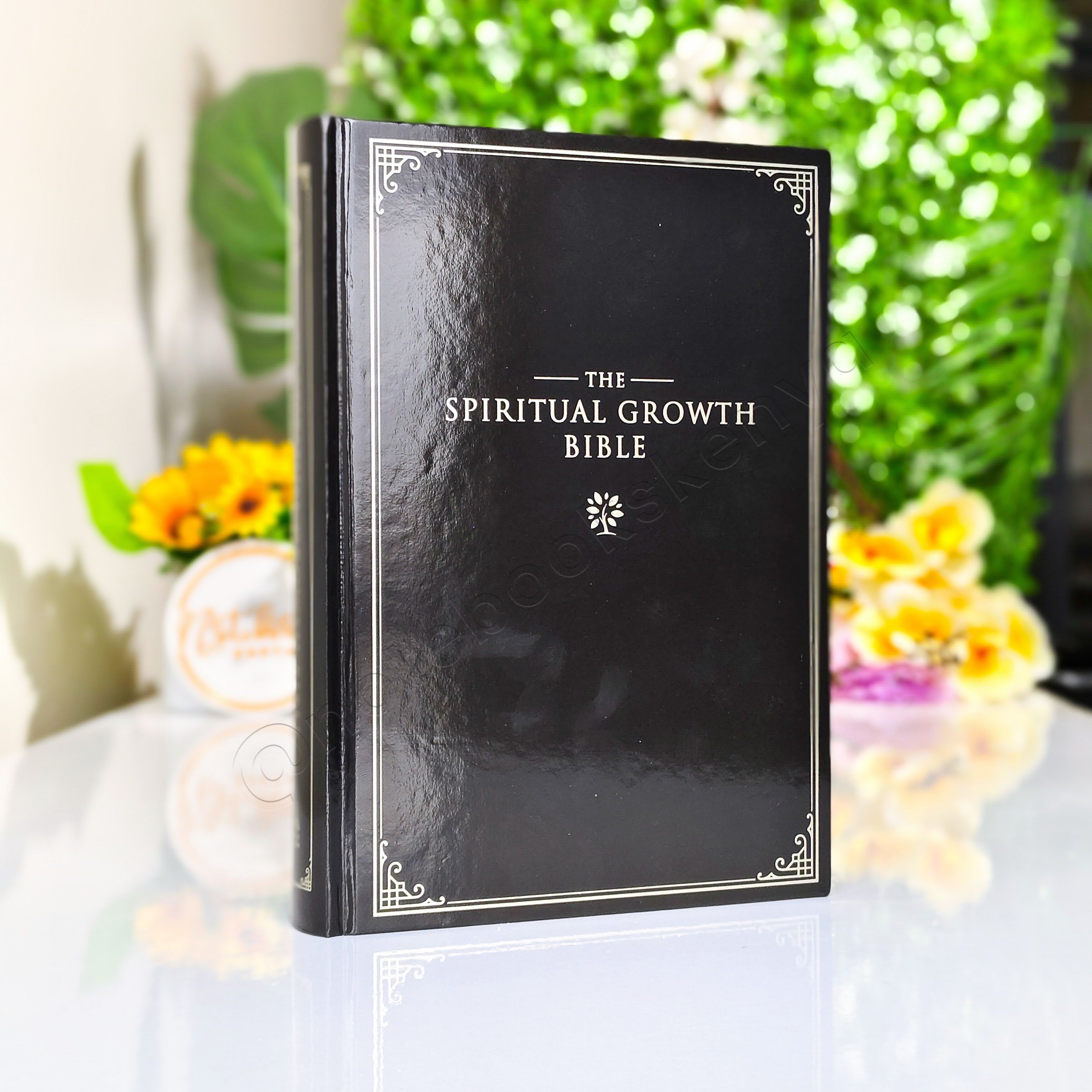 Elegant | NLT Spiritual Growth Bible – Black Hardcover | Christian Bible NLT | New Living Translation(NIV) | Gift | Concordance Bible | Spiritual Bible | Small Bible | Words In Red