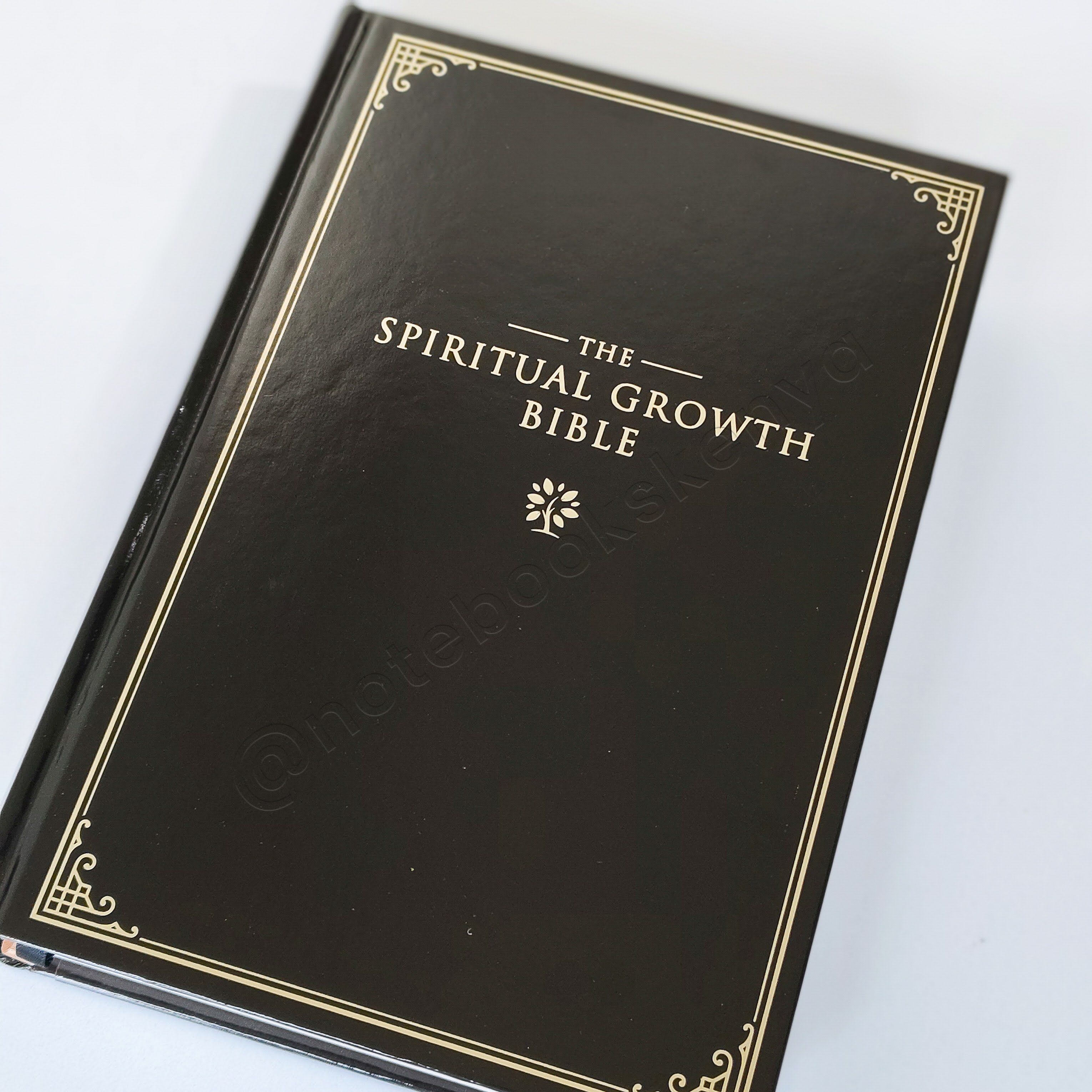 Elegant | NLT Spiritual Growth Bible – Black Hardcover | Christian Bible NLT | New Living Translation(NIV) | Gift | Concordance Bible | Spiritual Bible | Small Bible | Words In Red