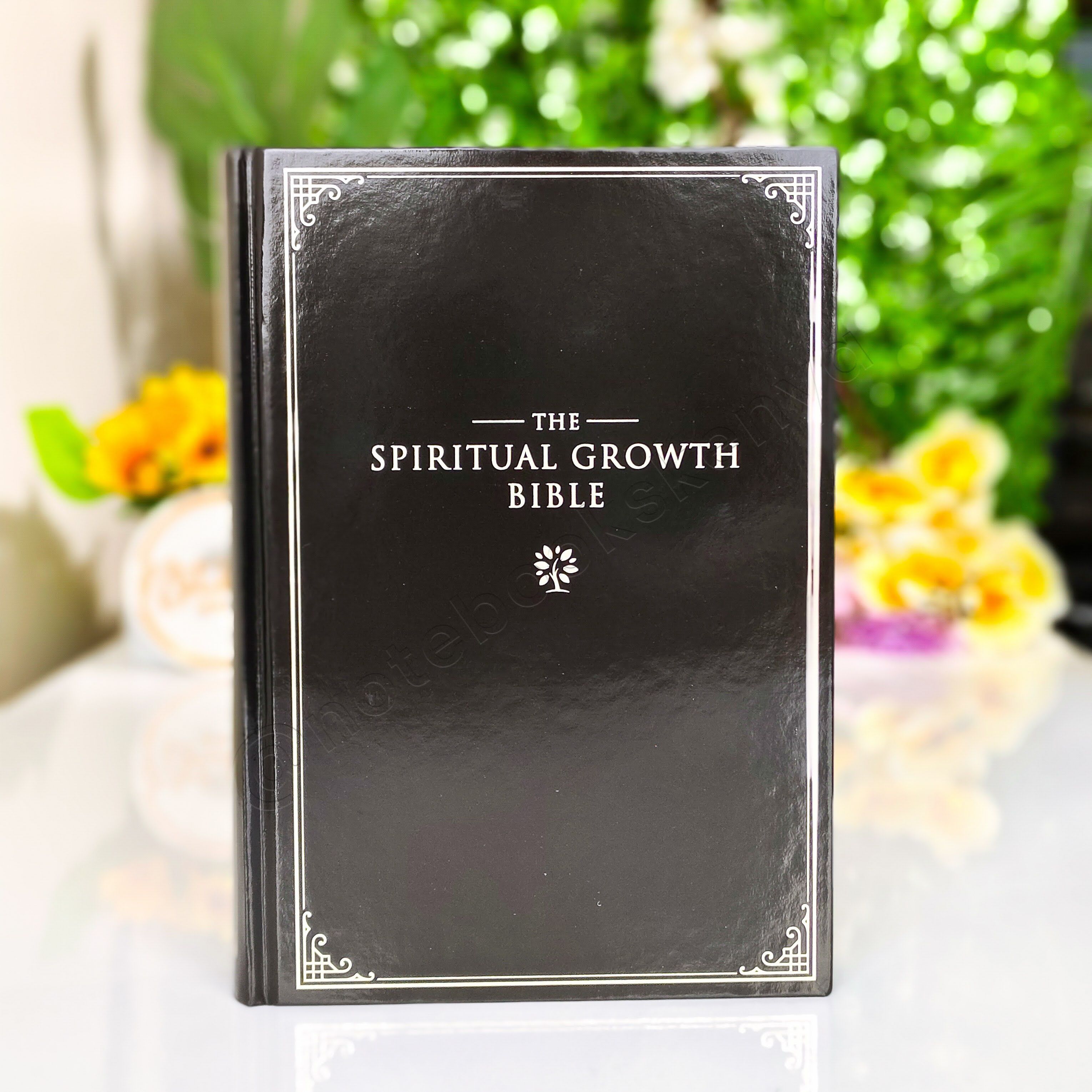 Elegant | NLT Spiritual Growth Bible – Black Hardcover | Christian Bible NLT | New Living Translation(NIV) | Gift | Concordance Bible | Spiritual Bible | Small Bible | Words In Red