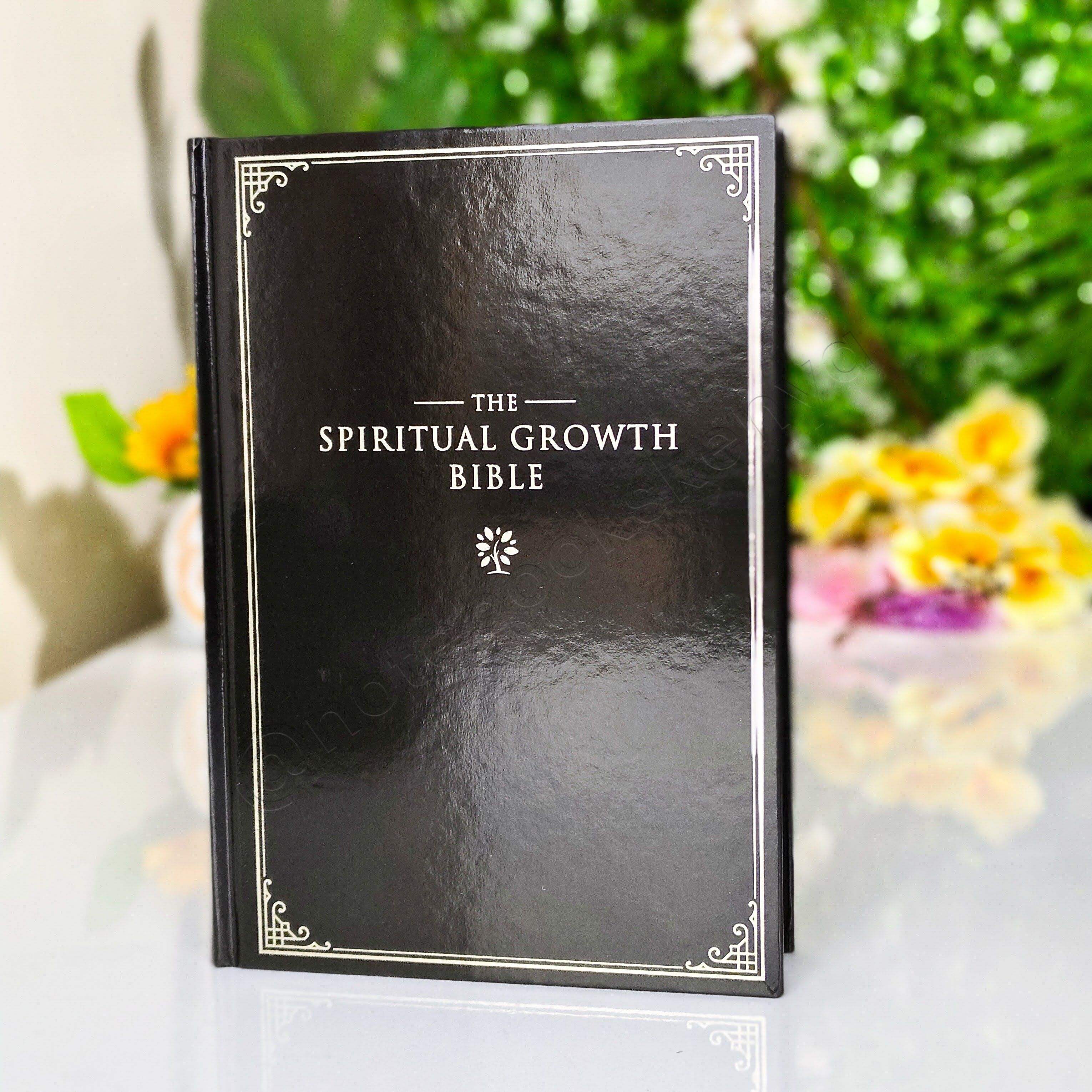 Elegant | NLT Spiritual Growth Bible – Black Hardcover | Christian Bible NLT | New Living Translation(NIV) | Gift | Concordance Bible | Spiritual Bible | Small Bible | Words In Red