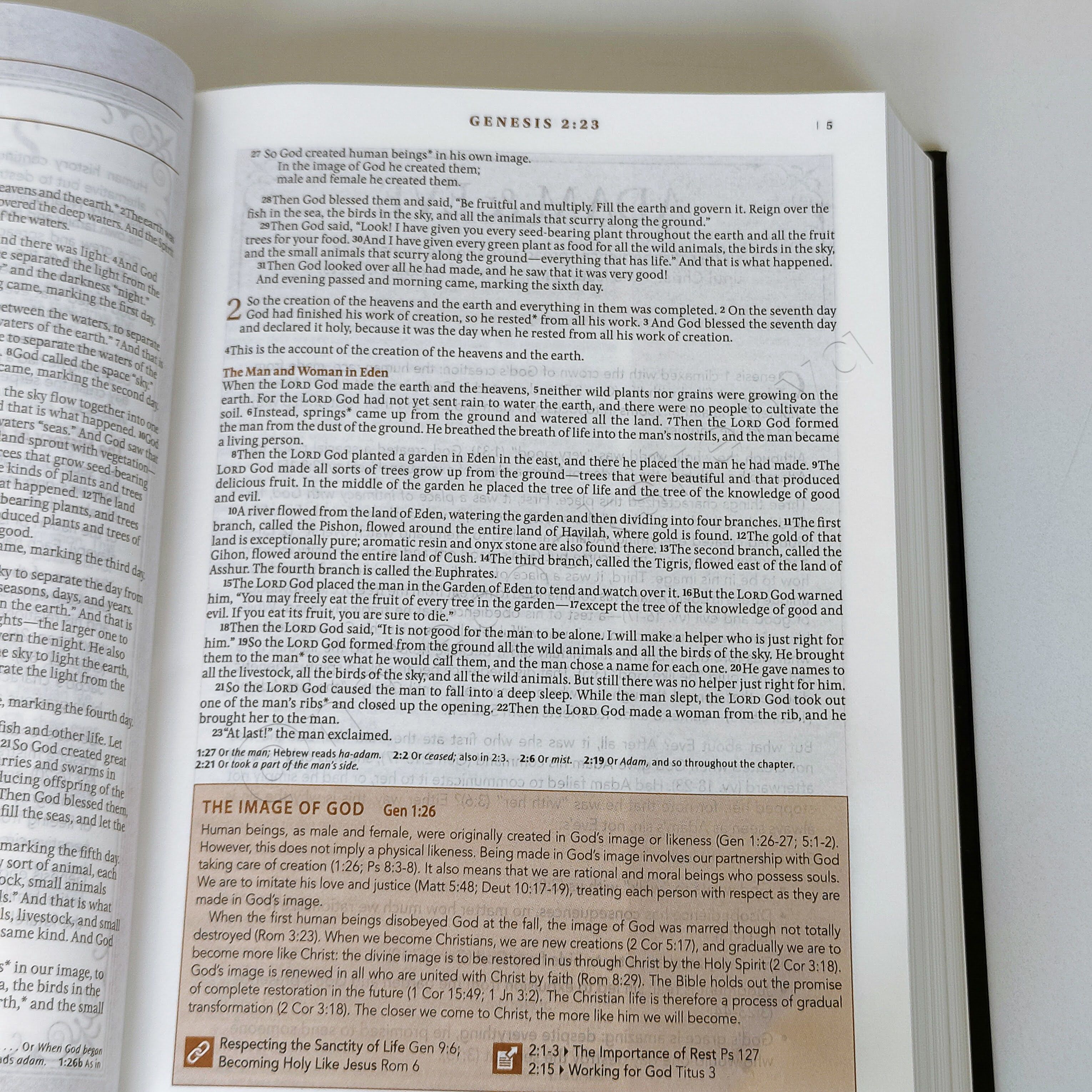 Elegant | NLT Spiritual Growth Bible – Black Hardcover | Christian Bible NLT | New Living Translation(NIV) | Gift | Concordance Bible | Spiritual Bible | Small Bible | Words In Red