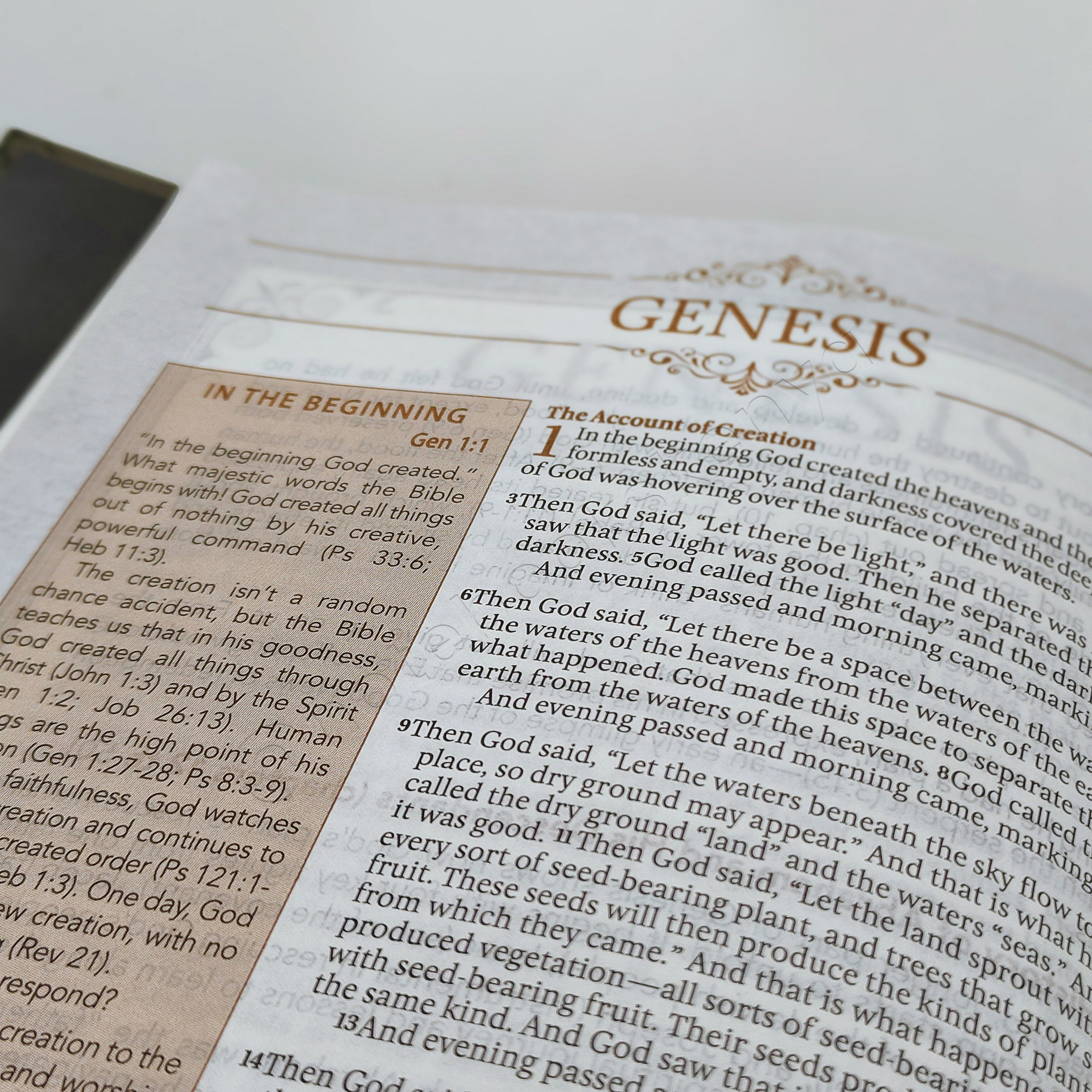 Elegant | NLT Spiritual Growth Bible – Black Hardcover | Christian Bible NLT | New Living Translation(NIV) | Gift | Concordance Bible | Spiritual Bible | Small Bible | Words In Red