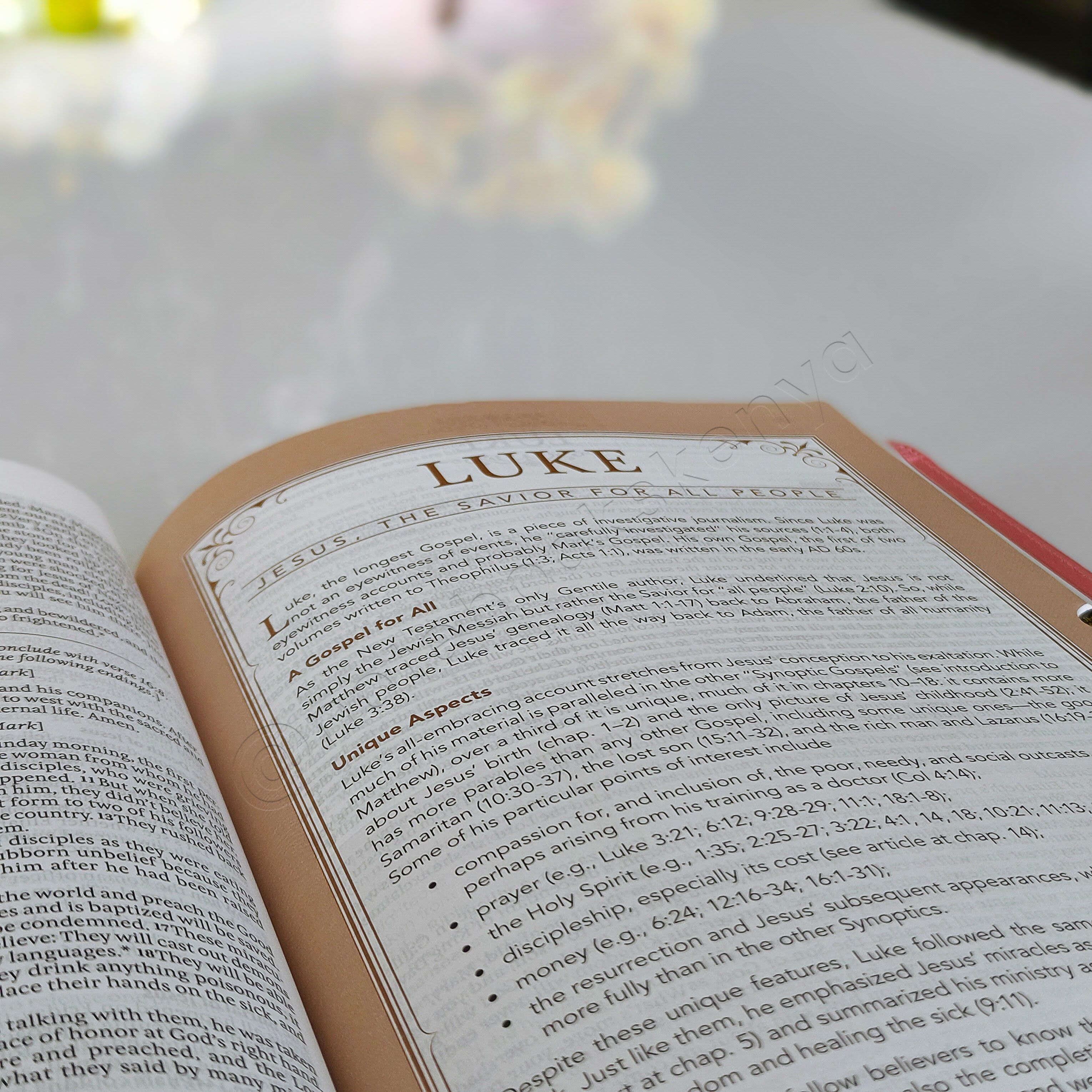 Elegant | NLT Spiritual Growth Bible – Pink Faux Leather (Thumb Indexed) | Christian Bible NLT | New Living Translation(NIV) | Gift | Concordance Bible | Spiritual Bible | Small Bible | Words In Red