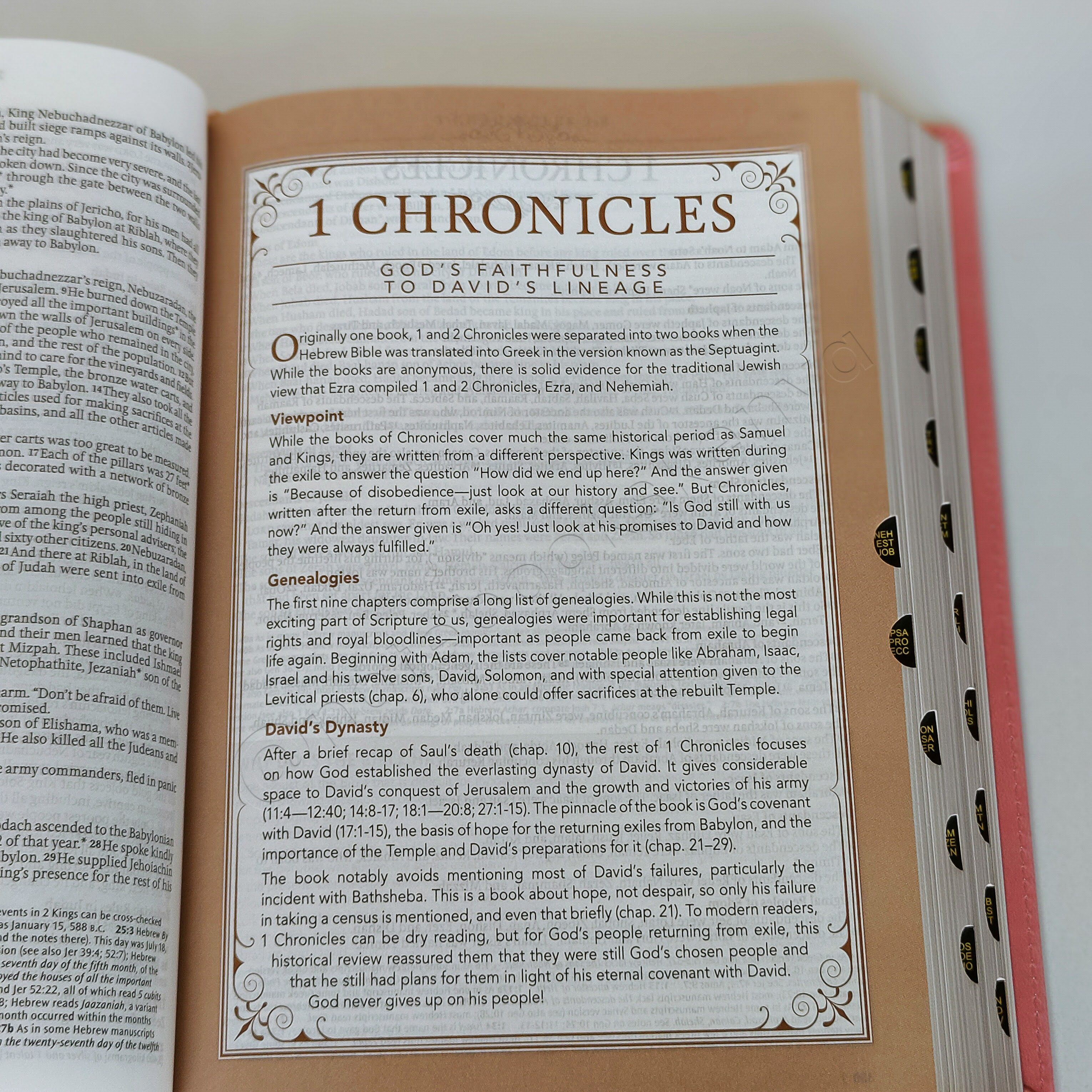 Elegant | NLT Spiritual Growth Bible – Pink Faux Leather (Thumb Indexed) | Christian Bible NLT | New Living Translation(NIV) | Gift | Concordance Bible | Spiritual Bible | Small Bible | Words In Red