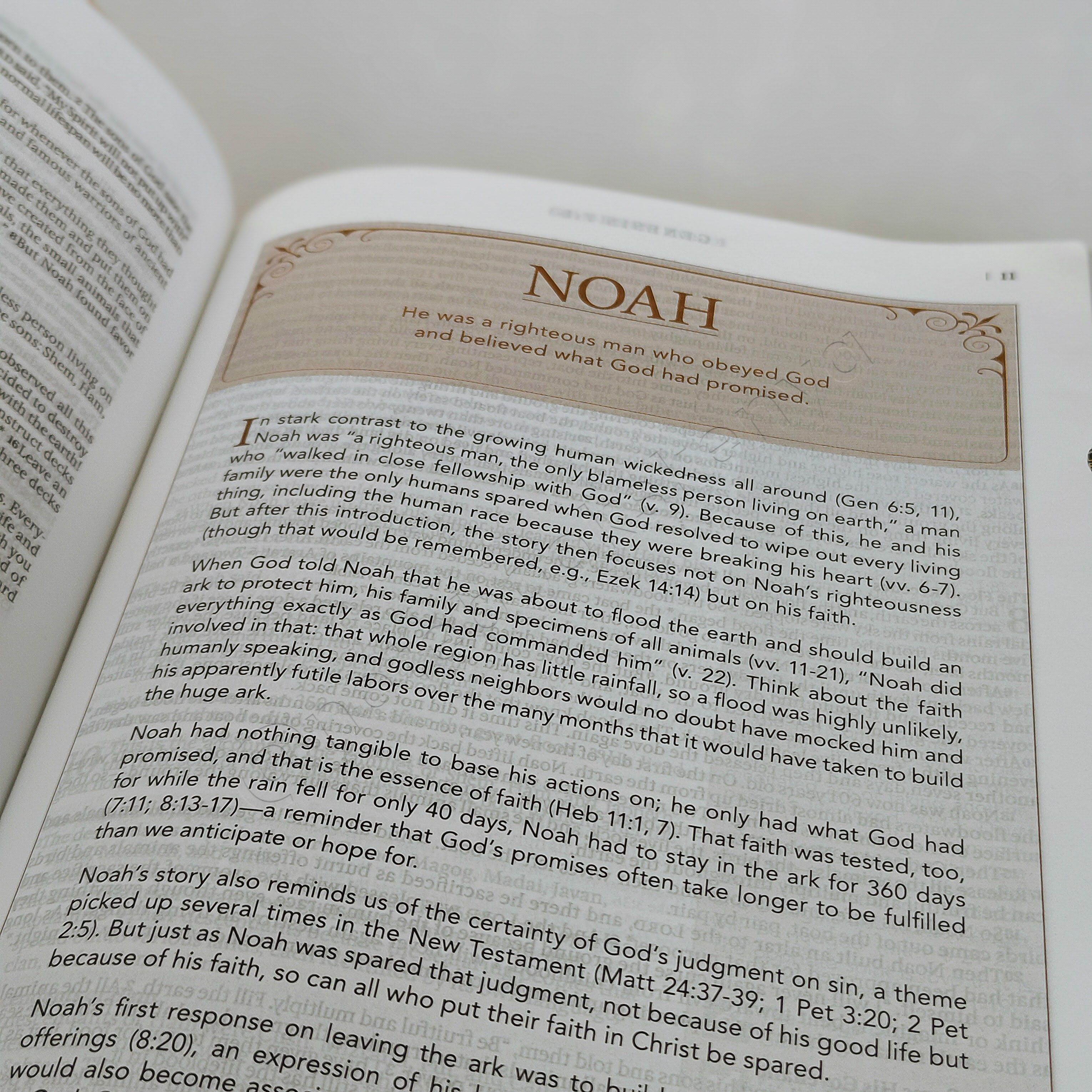 Elegant | NLT Spiritual Growth Bible – Pink Faux Leather (Thumb Indexed) | Christian Bible NLT | New Living Translation(NIV) | Gift | Concordance Bible | Spiritual Bible | Small Bible | Words In Red