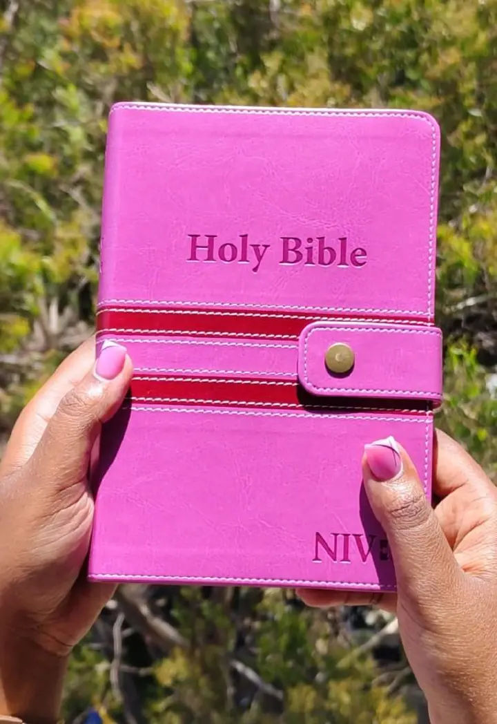 NIV Bible |  Pink Press Button | Duotone – Pink & Blue | Christian Bible NIV | The New International Version (NIV) | Gift Idea | Pink Bible | Blue Bible | Bible with Button