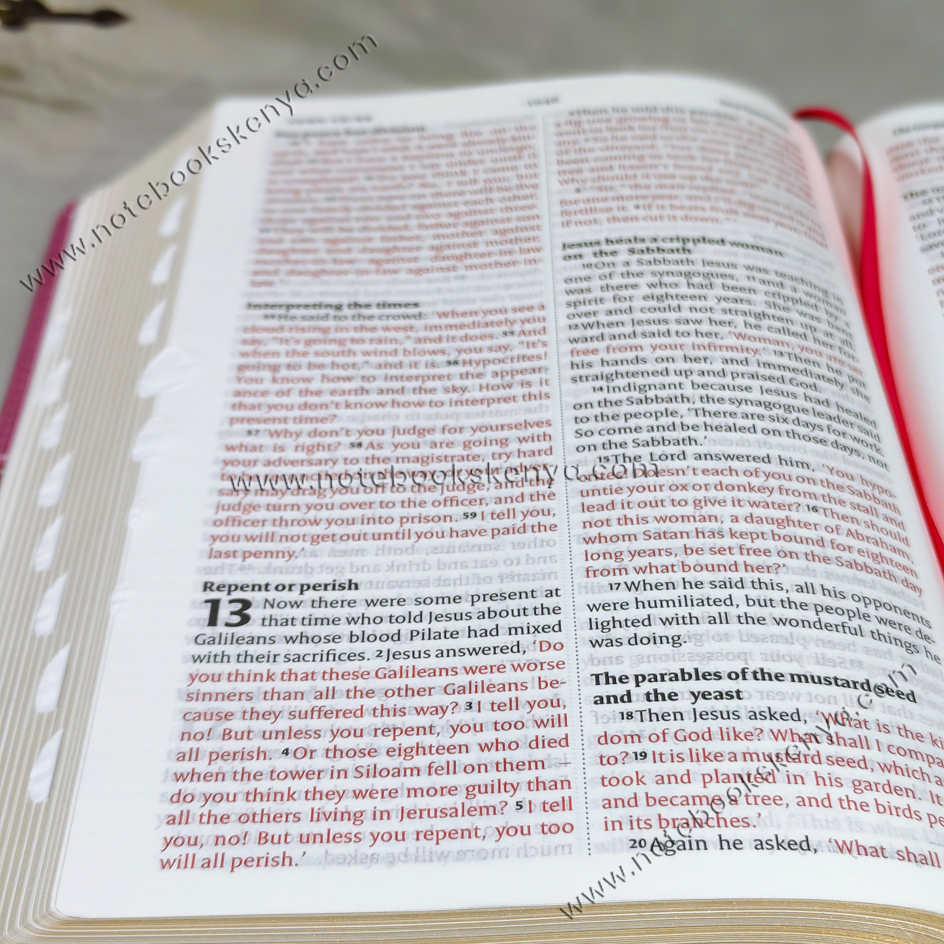 NIV Bible |  Pink Press Button | Duotone – Pink & Blue | Christian Bible NIV | The New International Version (NIV) | Gift Idea | Pink Bible | Blue Bible | Bible with Button