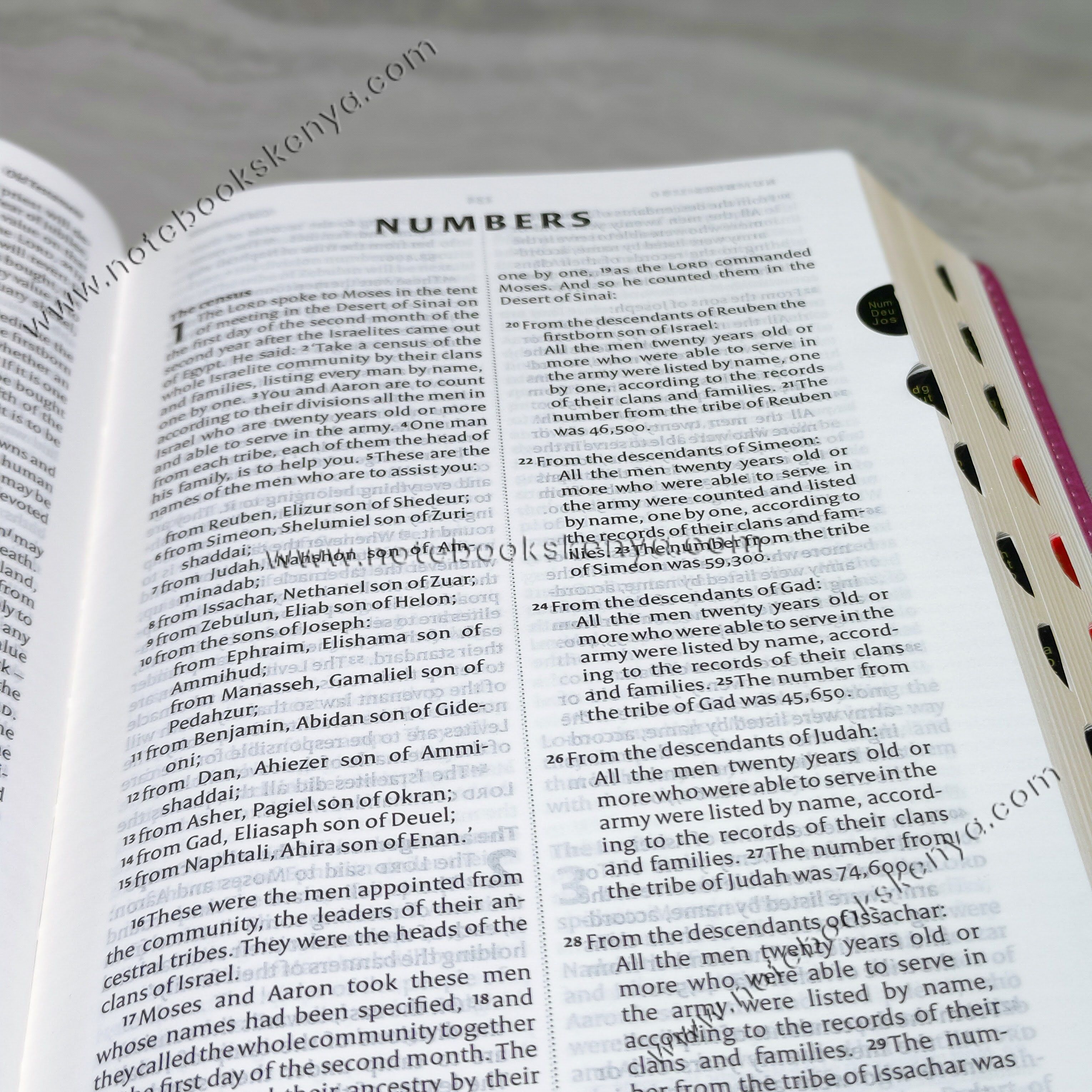 NIV Bible |  Pink Press Button | Duotone – Pink & Blue | Christian Bible NIV | The New International Version (NIV) | Gift Idea | Pink Bible | Blue Bible | Bible with Button