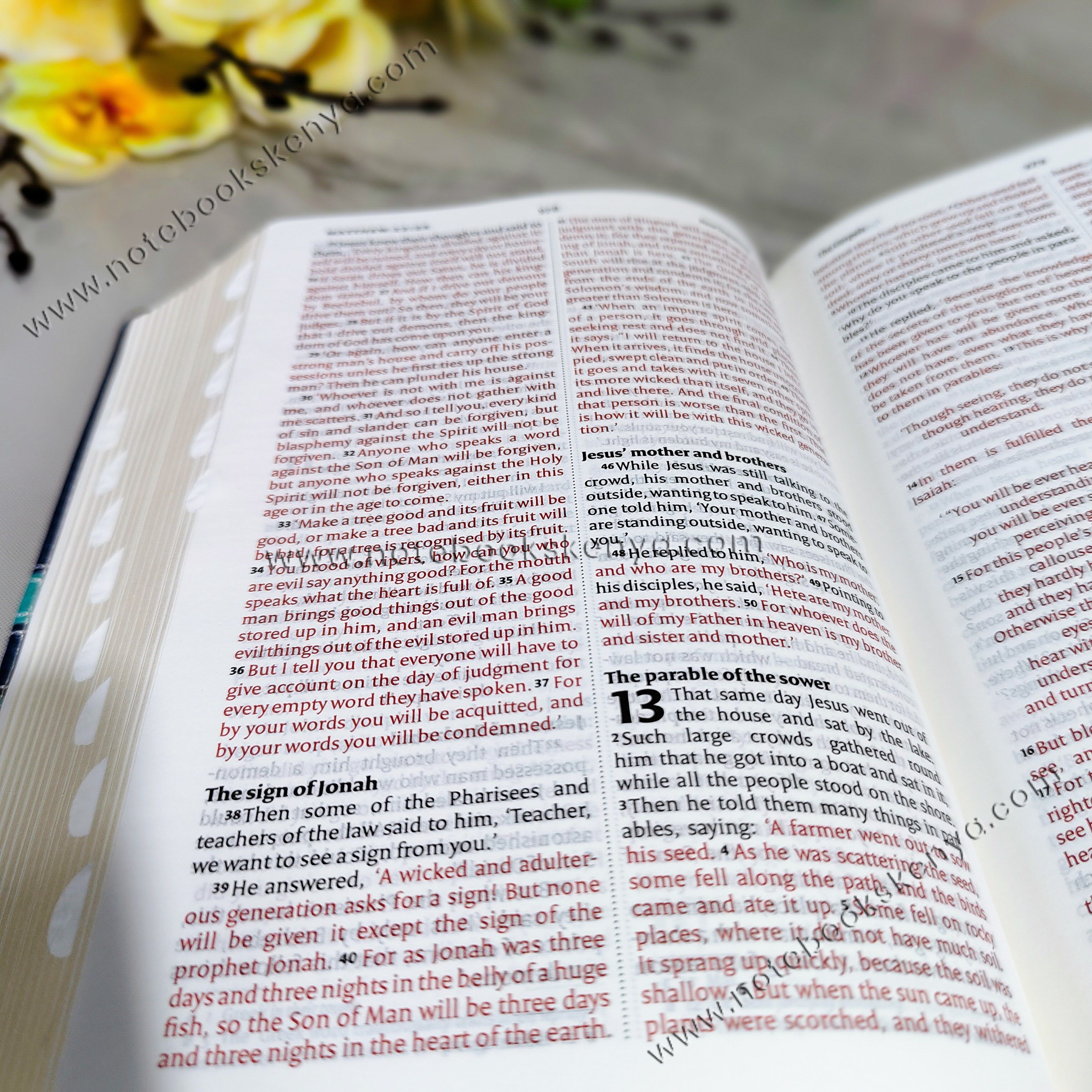 NIV Bible |  Pink Press Button | Duotone – Pink & Blue | Christian Bible NIV | The New International Version (NIV) | Gift Idea | Pink Bible | Blue Bible | Bible with Button