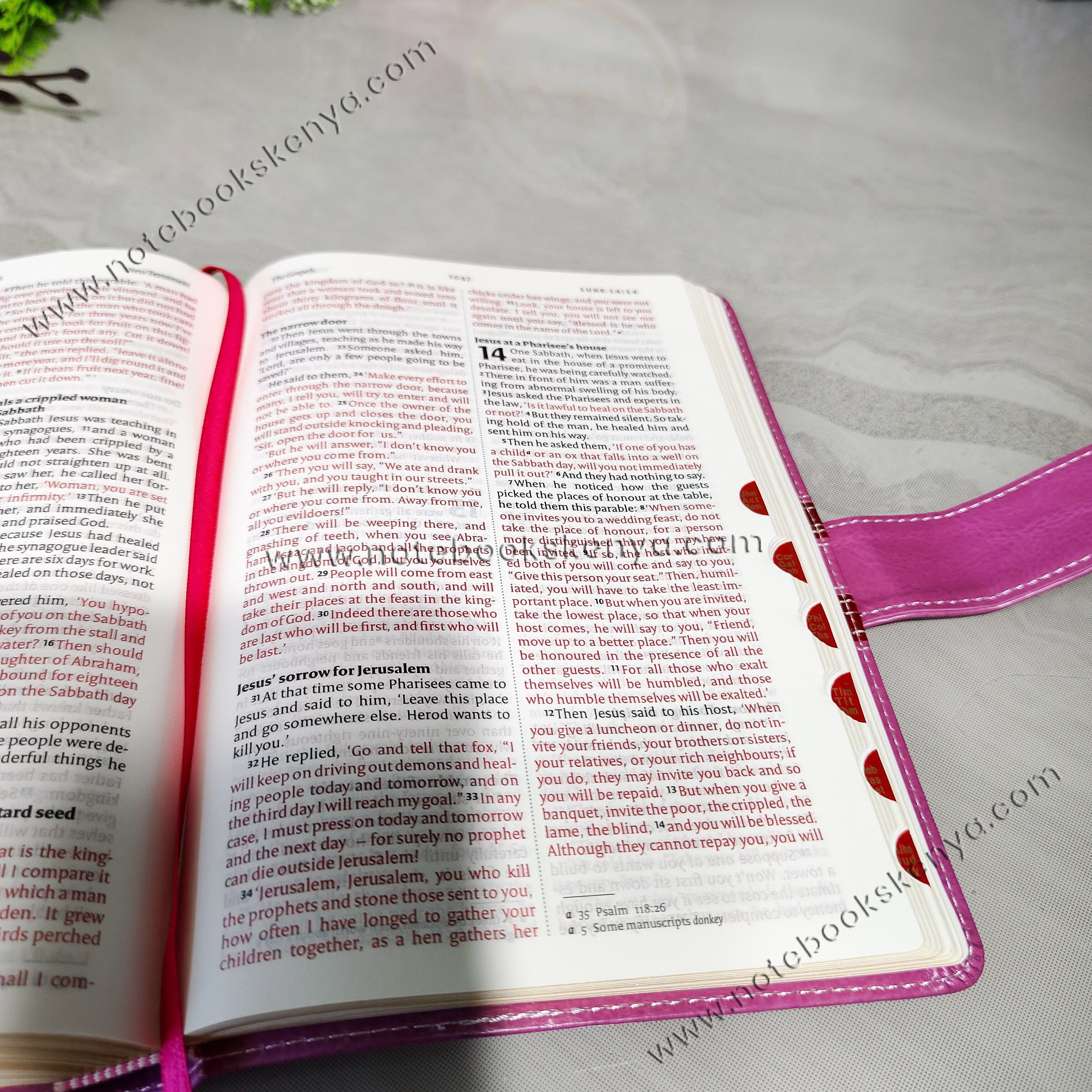 NIV Bible |  Pink Press Button | Duotone – Pink & Blue | Christian Bible NIV | The New International Version (NIV) | Gift Idea | Pink Bible | Blue Bible | Bible with Button