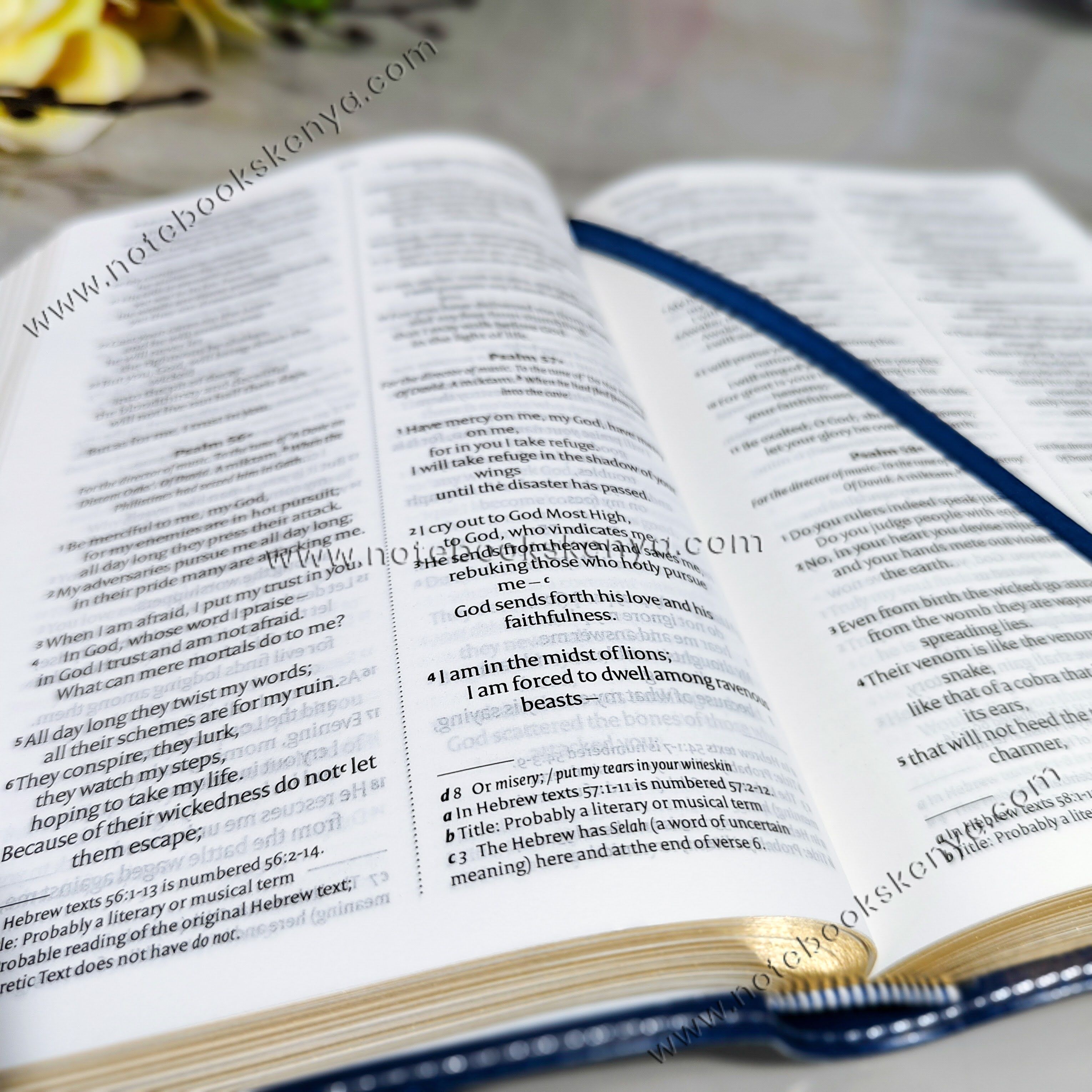 NIV Bible |  Blue Press Button | Duotone – Blue | Christian Bible NIV | The New International Version (NIV) | Gift Idea | Blue Bible | Bible with Button