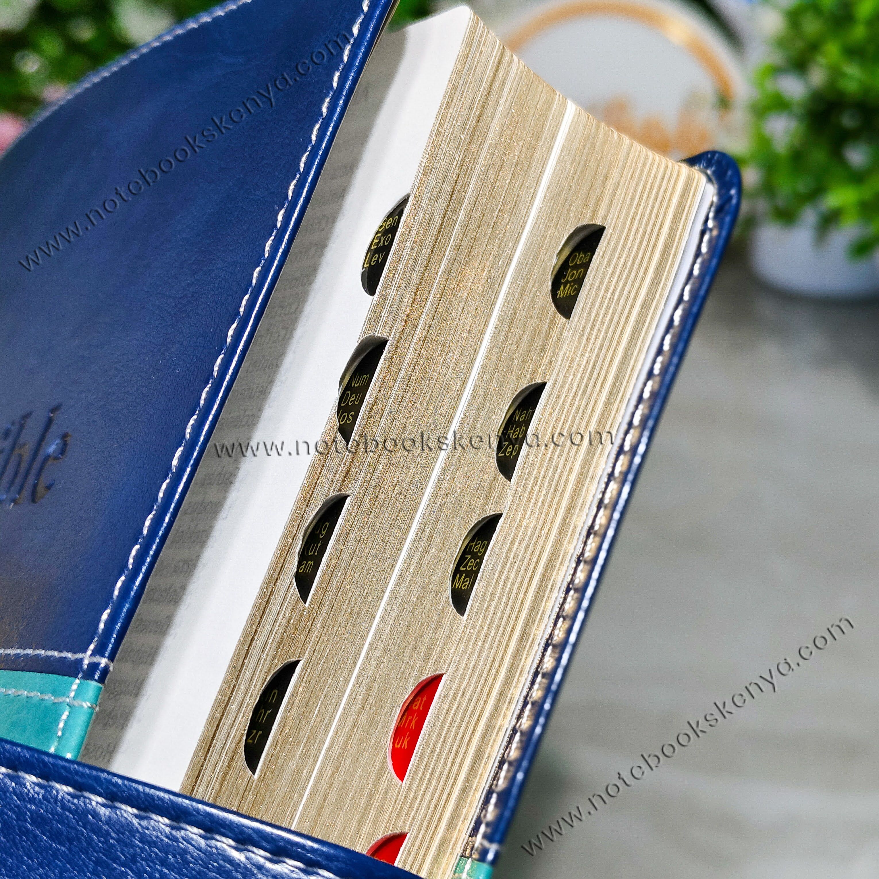 NIV Bible |  Blue Press Button | Duotone – Blue | Christian Bible NIV | The New International Version (NIV) | Gift Idea | Blue Bible | Bible with Button