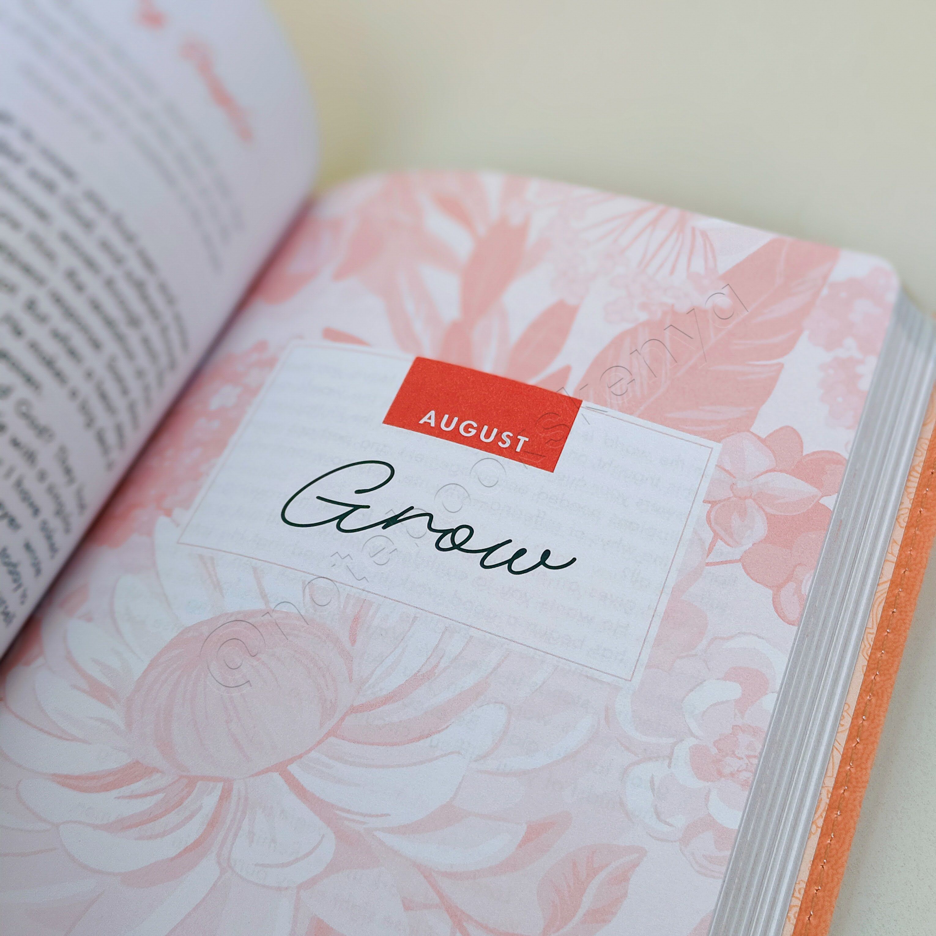 Quiet Time Moments for Women – 366-Day Devotional | Christian Devotional | Yearly Devotional | Devotional For Women | Bible Study Accessory | Christian Gift Idea
