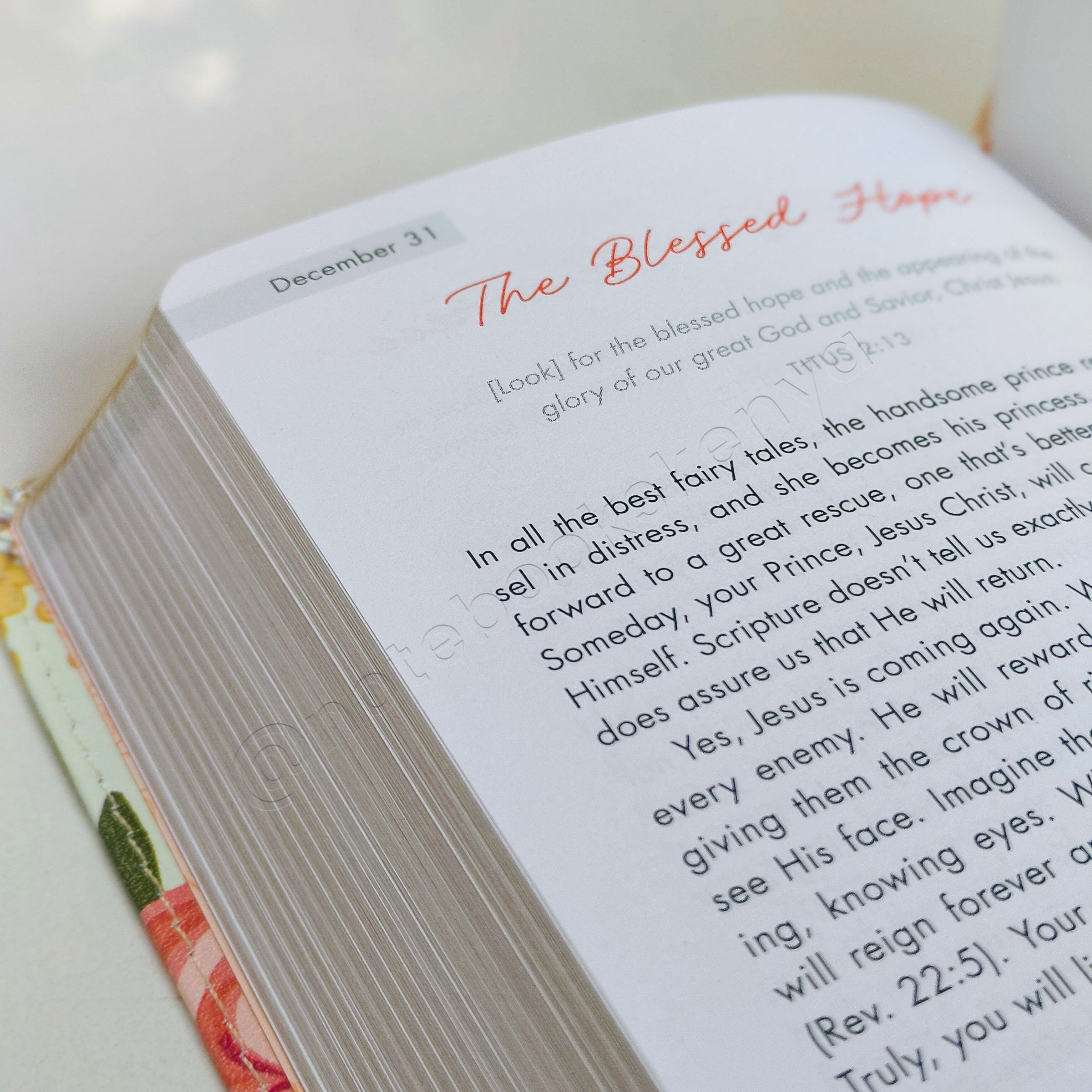 Quiet Time Moments for Women – 366-Day Devotional | Christian Devotional | Yearly Devotional | Devotional For Women | Bible Study Accessory | Christian Gift Idea
