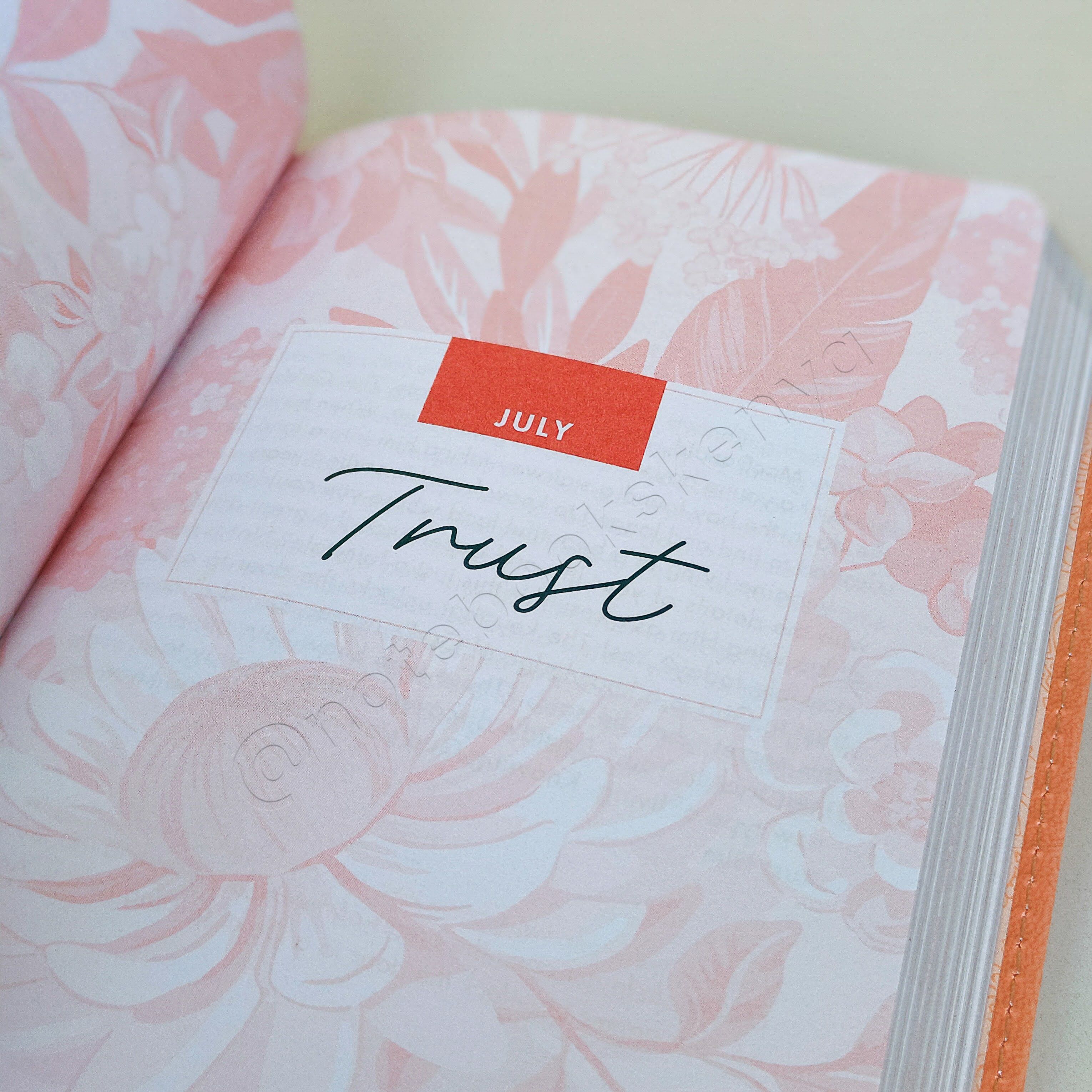 Quiet Time Moments for Women – 366-Day Devotional | Christian Devotional | Yearly Devotional | Devotional For Women | Bible Study Accessory | Christian Gift Idea