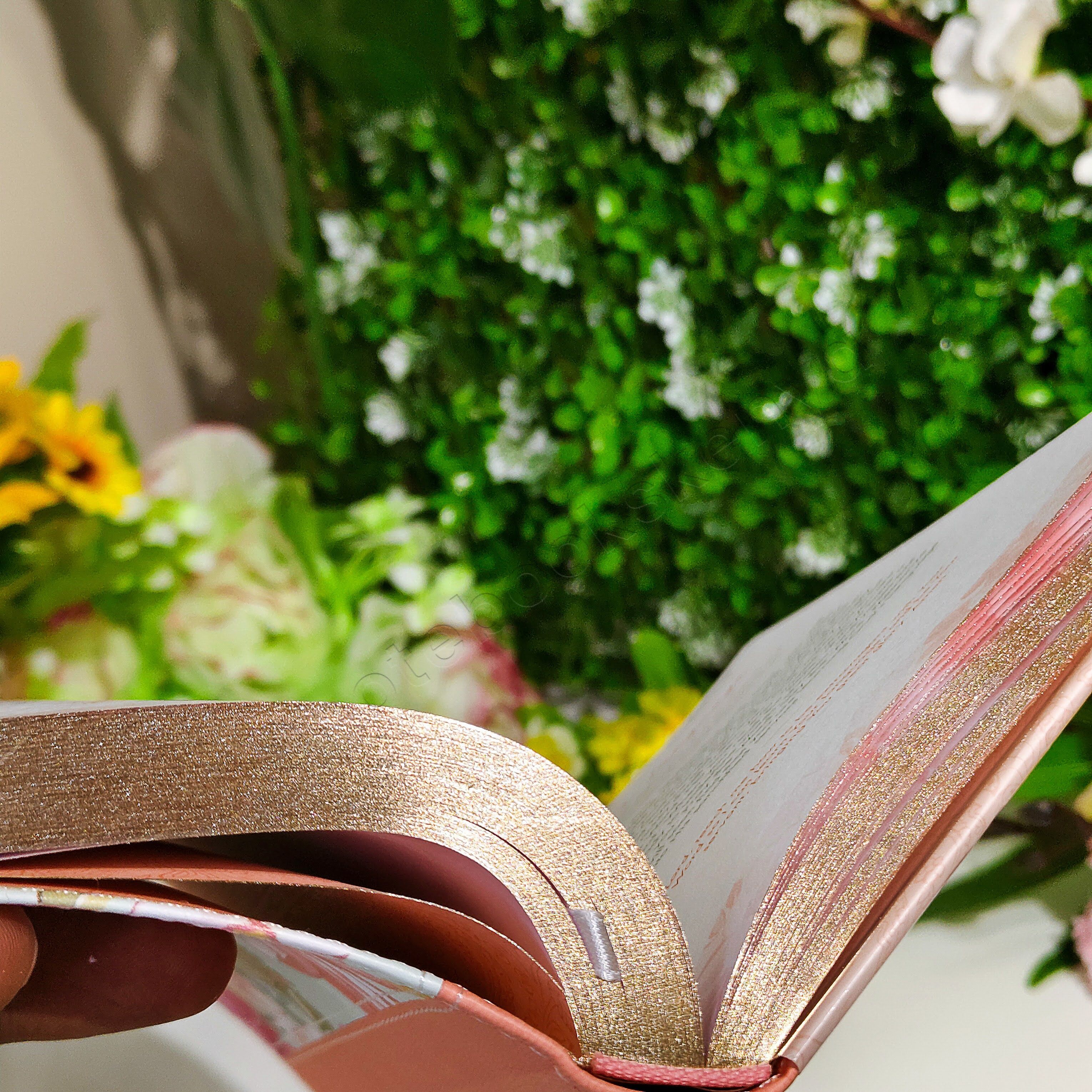 Quiet Time Moments for Women – 366-Day Devotional | Christian Devotional | Yearly Devotional | Devotional For Women | Bible Study Accessory | Christian Gift Idea