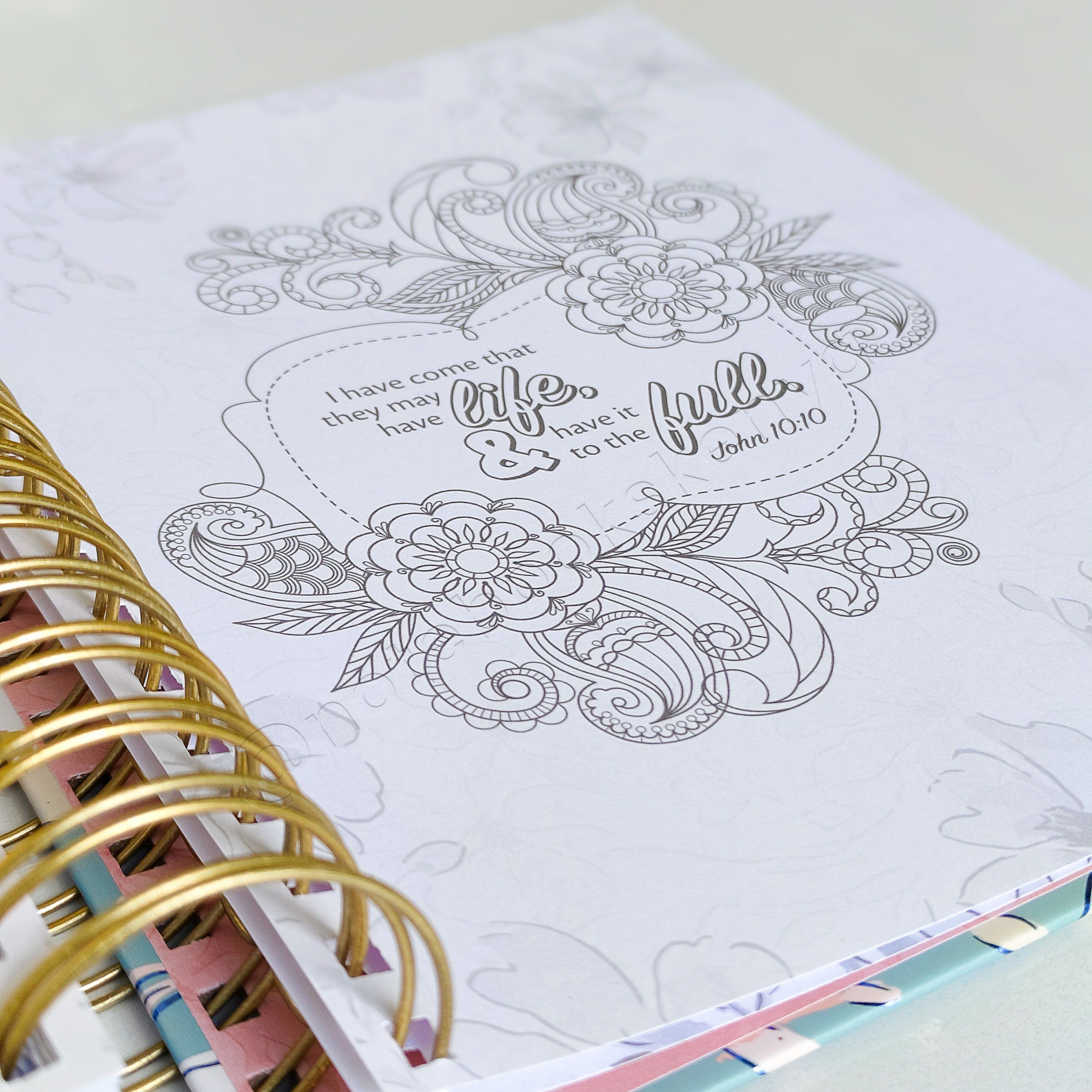 The Illustrated Words of Jesus for Women - A Devotional Coloring Book | Christian Devotional | Yearly Devotional | Devotional For Women | Bible Study Accessory | Christian Gift Idea