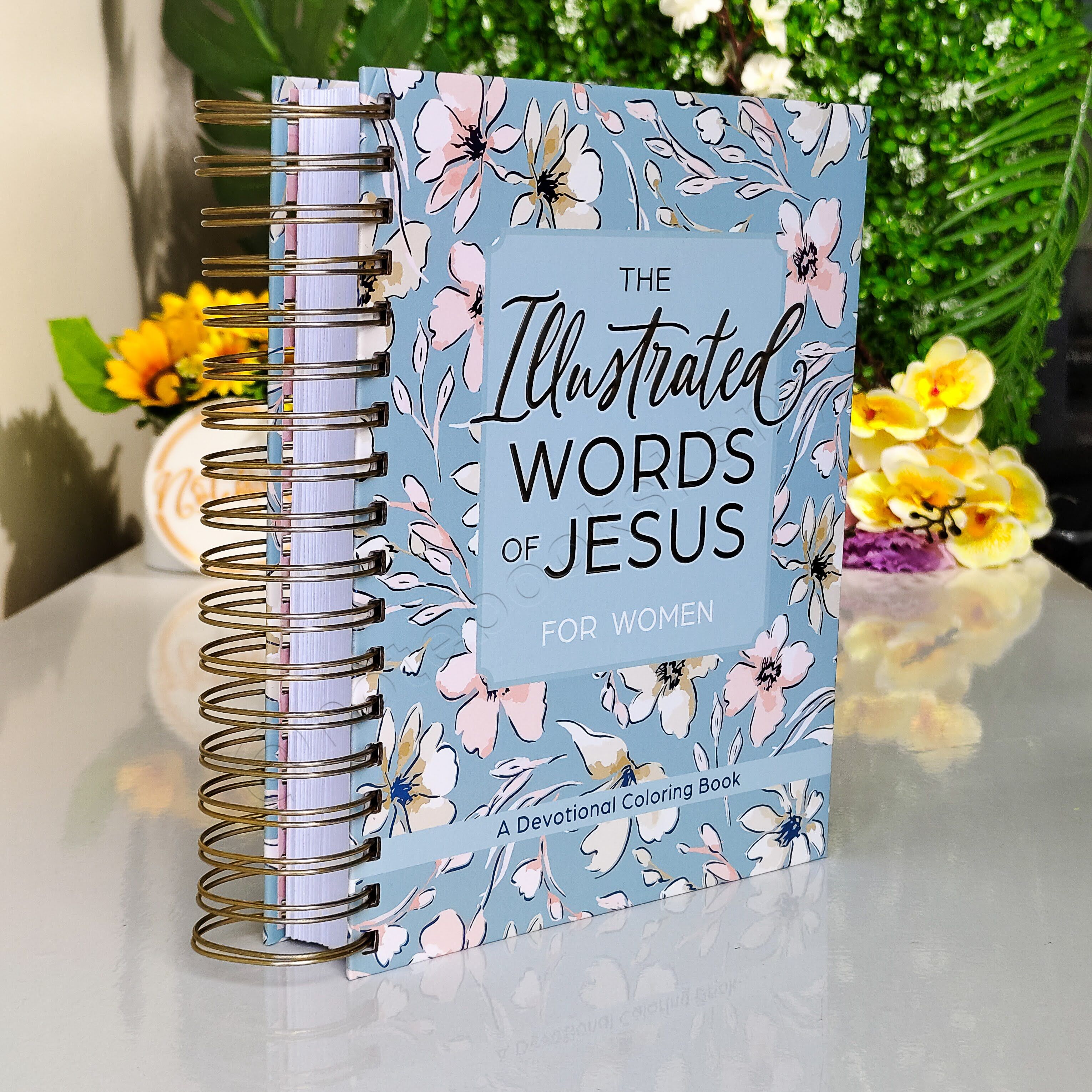 The Illustrated Words of Jesus for Women - A Devotional Coloring Book | Christian Devotional | Yearly Devotional | Devotional For Women | Bible Study Accessory | Christian Gift Idea