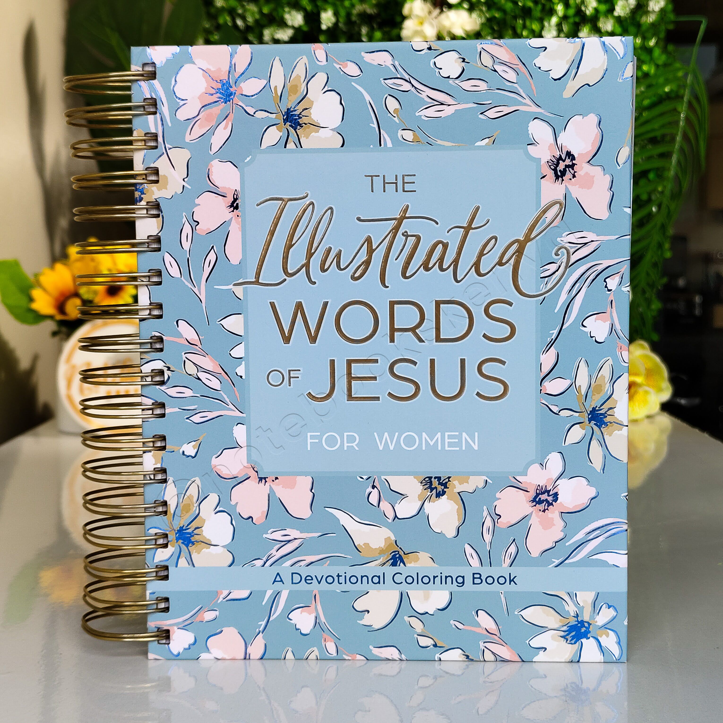 The Illustrated Words of Jesus for Women - A Devotional Coloring Book | Christian Devotional | Yearly Devotional | Devotional For Women | Bible Study Accessory | Christian Gift Idea