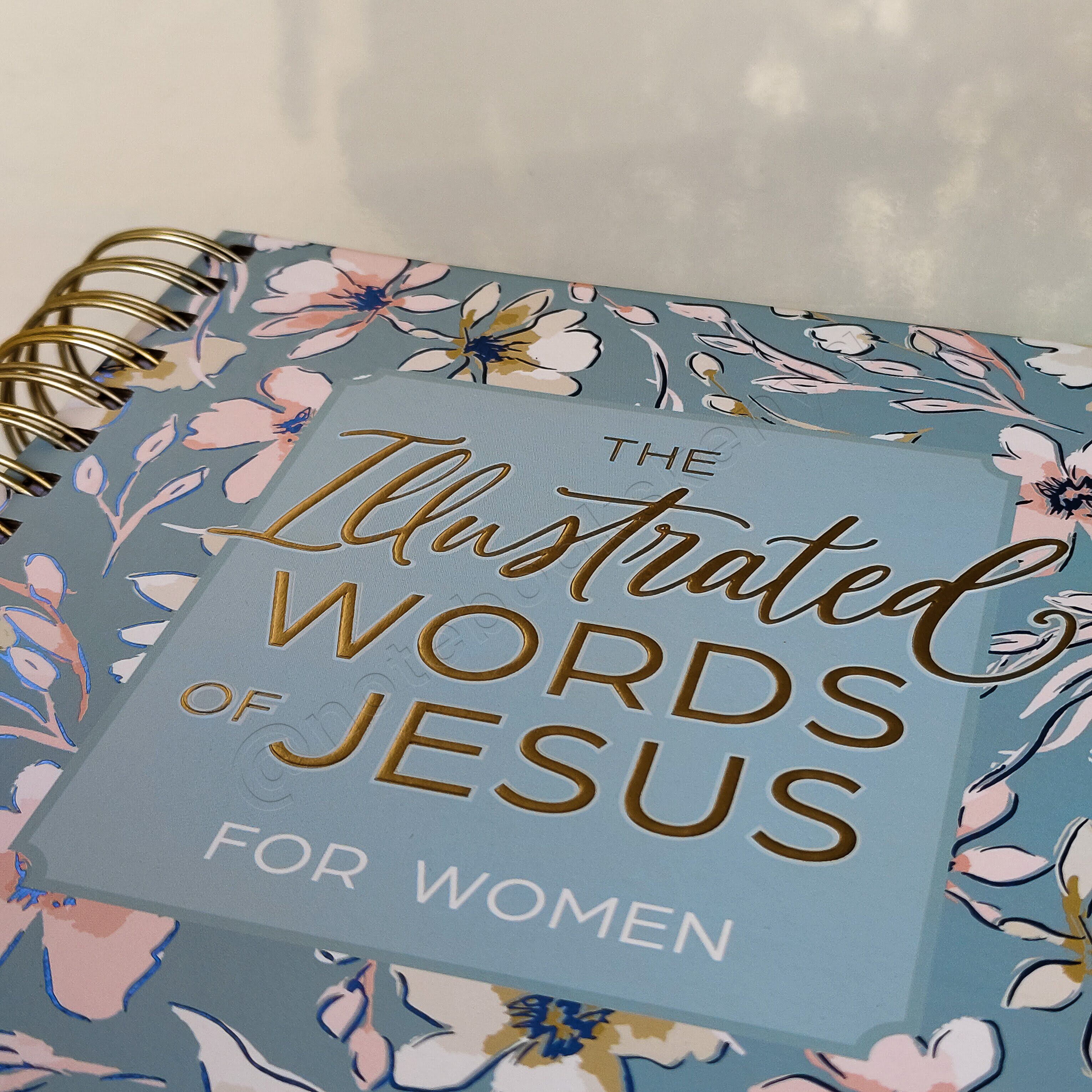 The Illustrated Words of Jesus for Women - A Devotional Coloring Book | Christian Devotional | Yearly Devotional | Devotional For Women | Bible Study Accessory | Christian Gift Idea