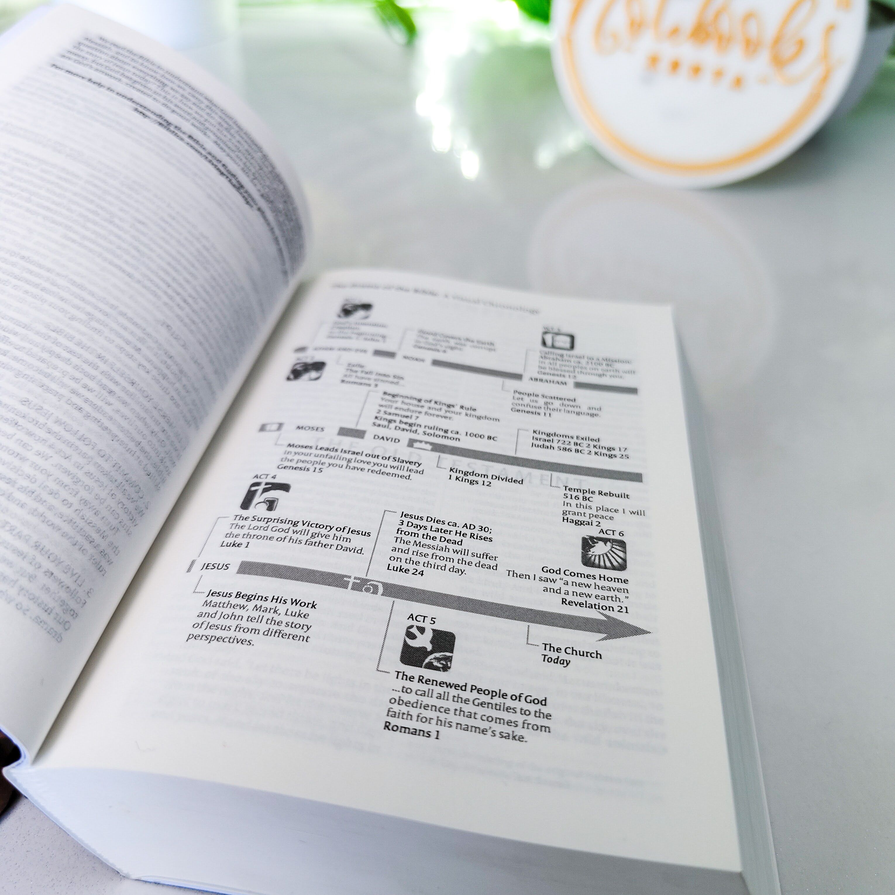 Mini NIV Pocket Bible | Black Paper Back (Gold Lettering) | New International Version(NIV) | Gift | Concordance Bible | Small Bible | Words In Red