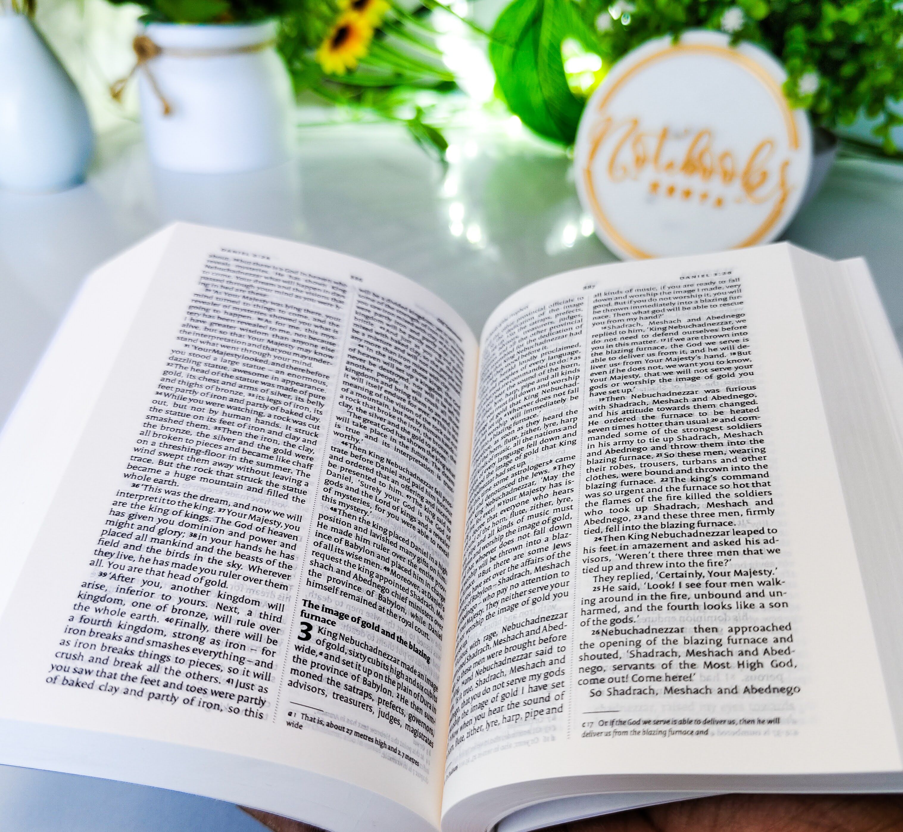 Mini NIV Pocket Bible | Black Paper Back (Gold Lettering) | New International Version(NIV) | Gift | Concordance Bible | Small Bible | Words In Red