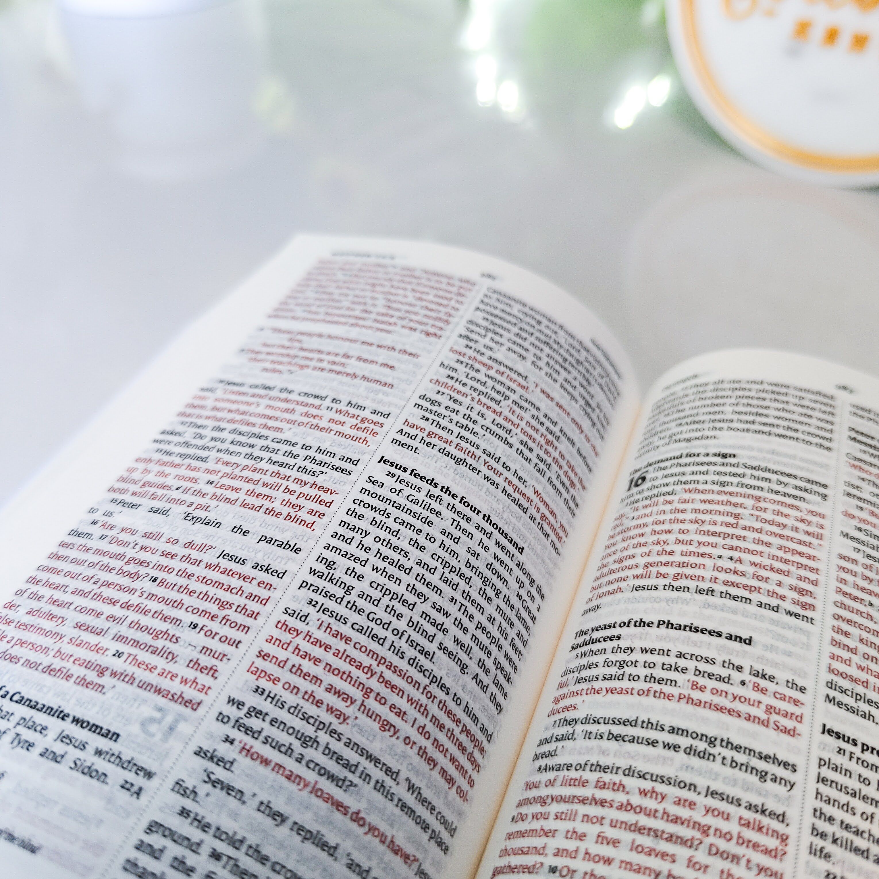 Mini NIV Pocket Bible | Black Paper Back (Gold Lettering) | New International Version(NIV) | Gift | Concordance Bible | Small Bible | Words In Red