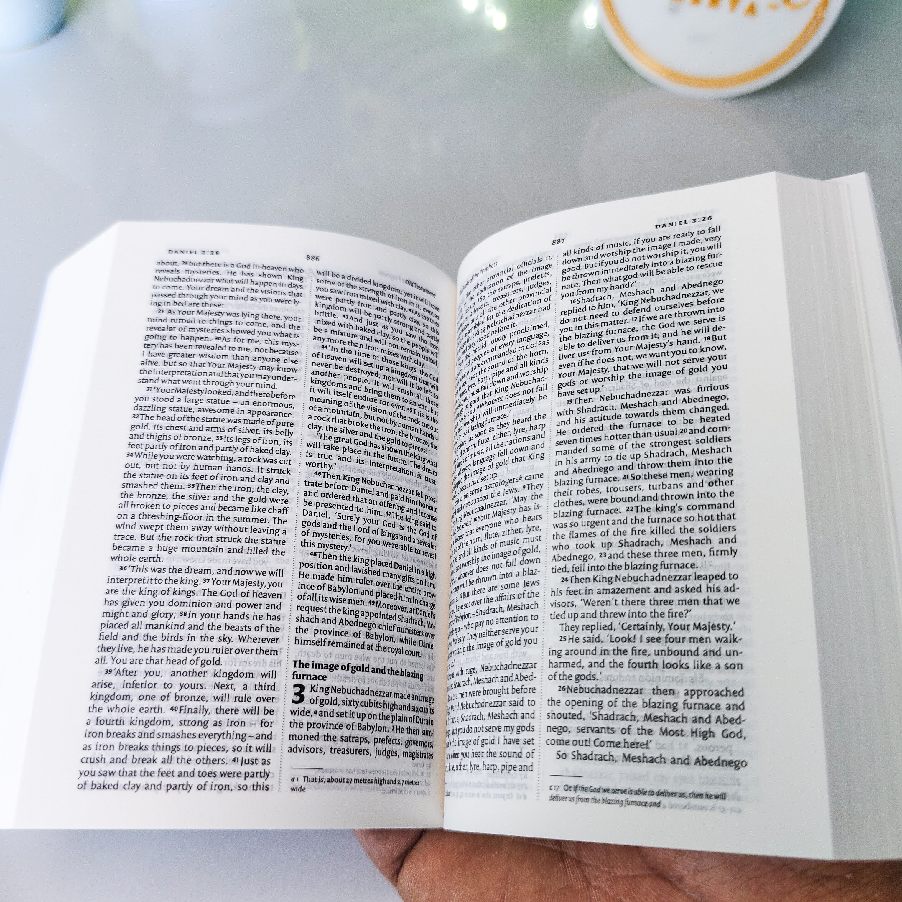 Mini NIV Pocket Bible | Black Paper Back (Gold Lettering) | New International Version(NIV) | Gift | Concordance Bible | Small Bible | Words In Red