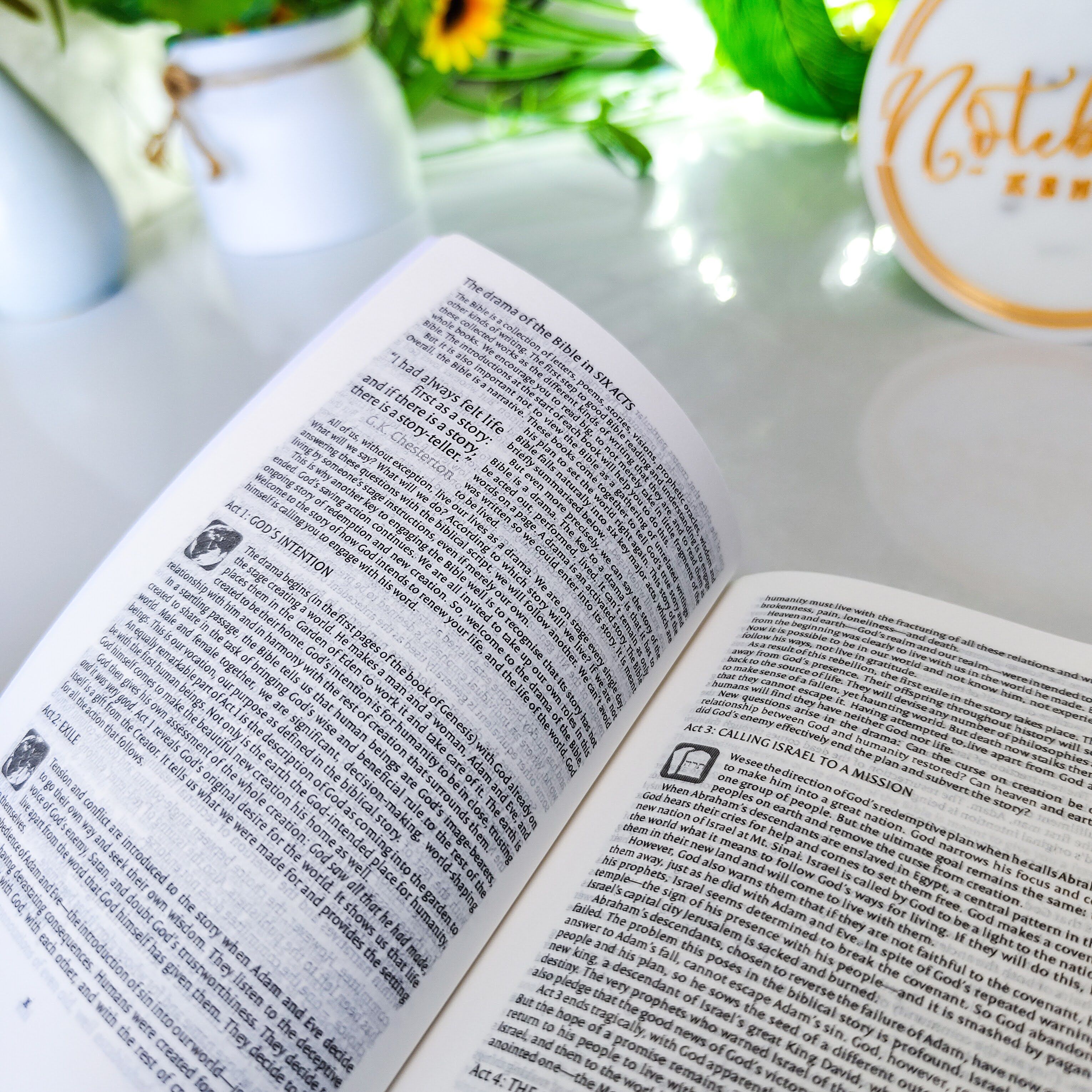 Mini NIV Pocket Bible | Black Paper Back (Gold Lettering) | New International Version(NIV) | Gift | Concordance Bible | Small Bible | Words In Red