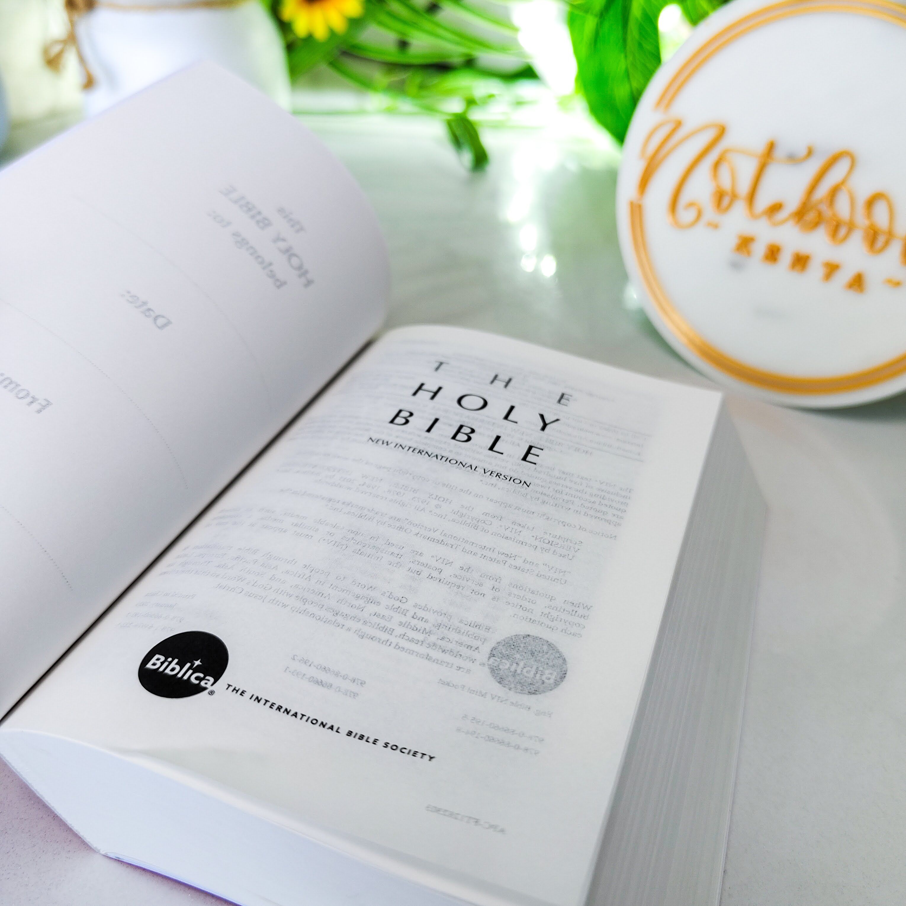 Mini NIV Pocket Bible | Pink Paper Back (Gold Lettering) | New International Version(NIV) | Gift | Concordance Bible | Small Bible | Words In Red