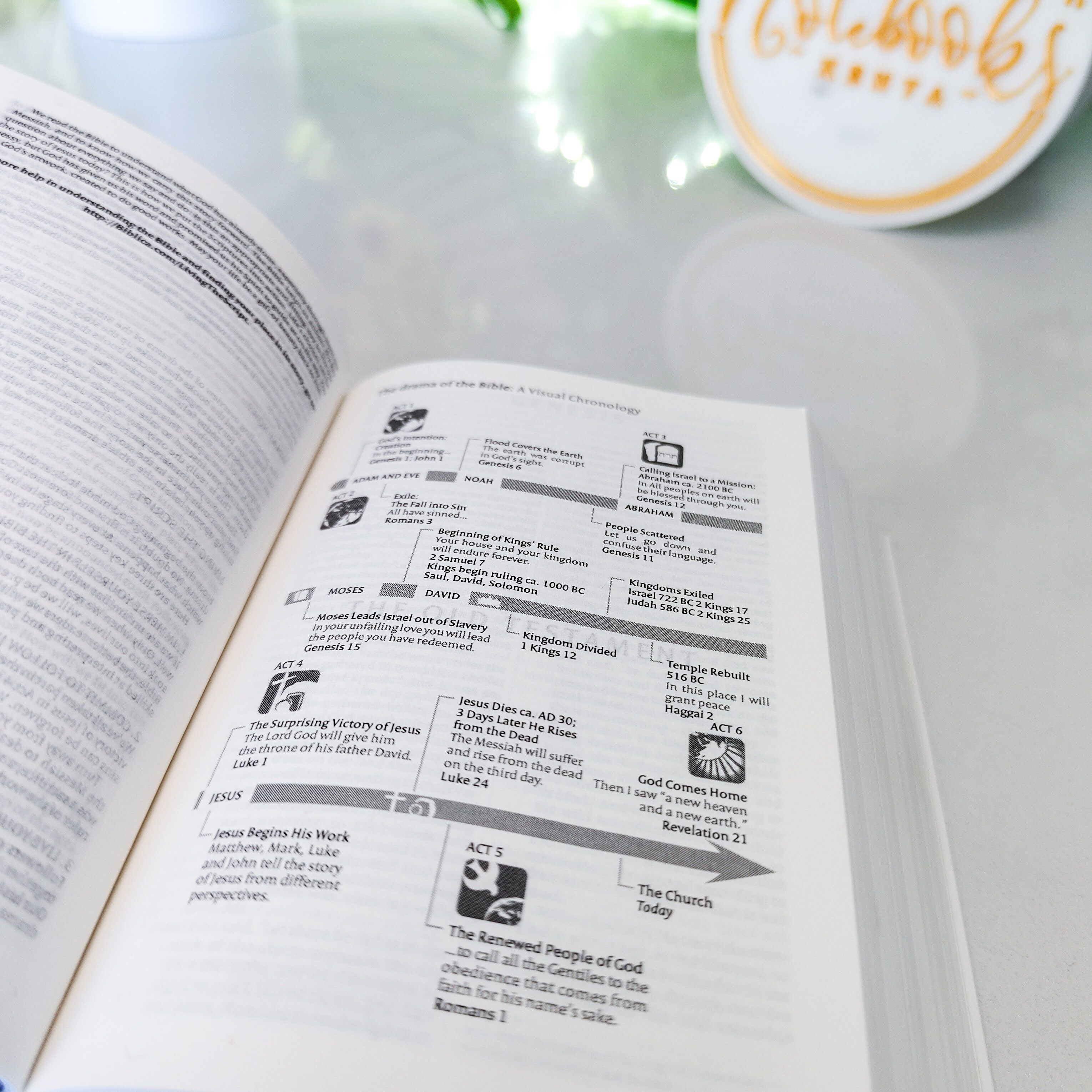 Mini NIV Pocket Bible | Pink Paper Back (Gold Lettering) | New International Version(NIV) | Gift | Concordance Bible | Small Bible | Words In Red